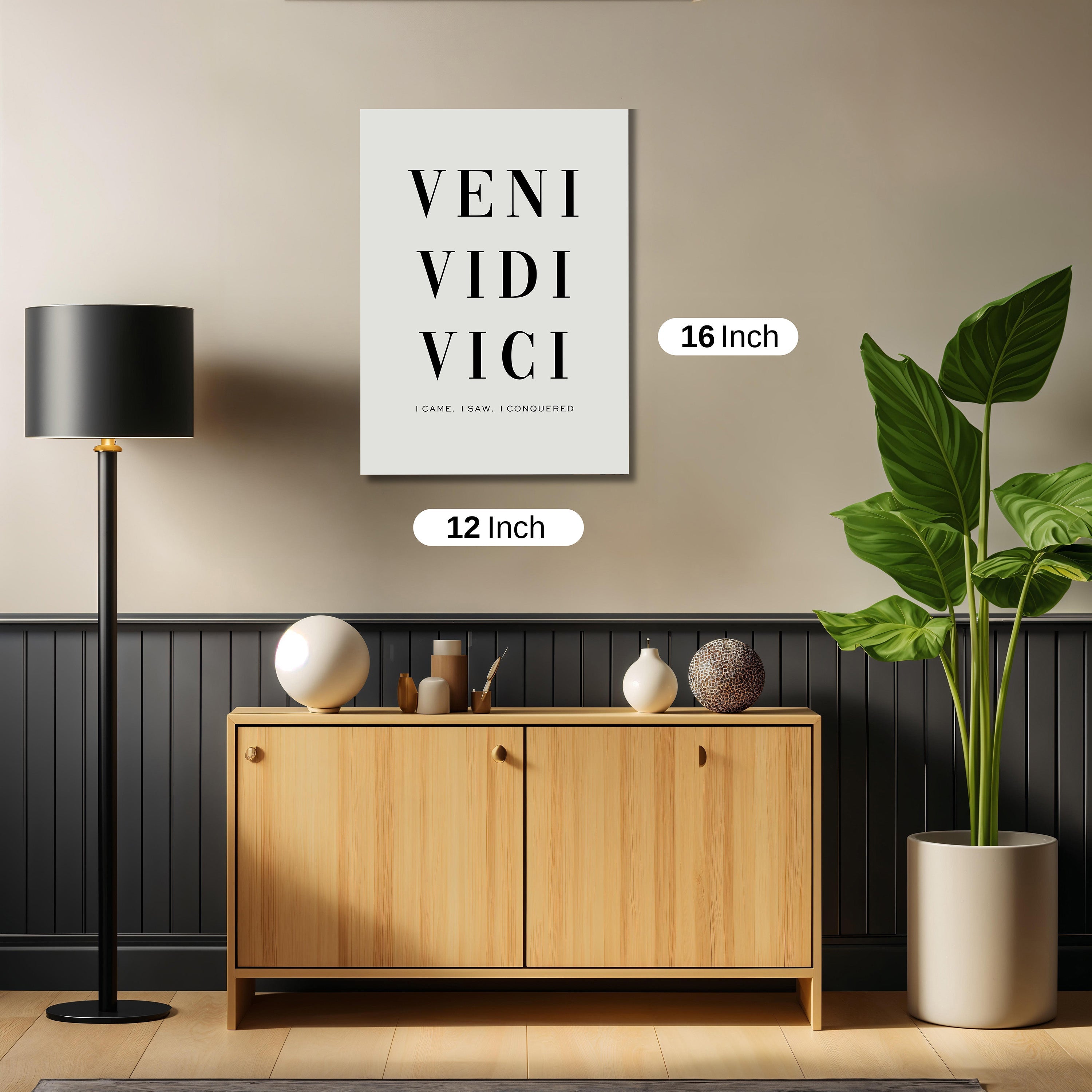 VENI VEDI VICI