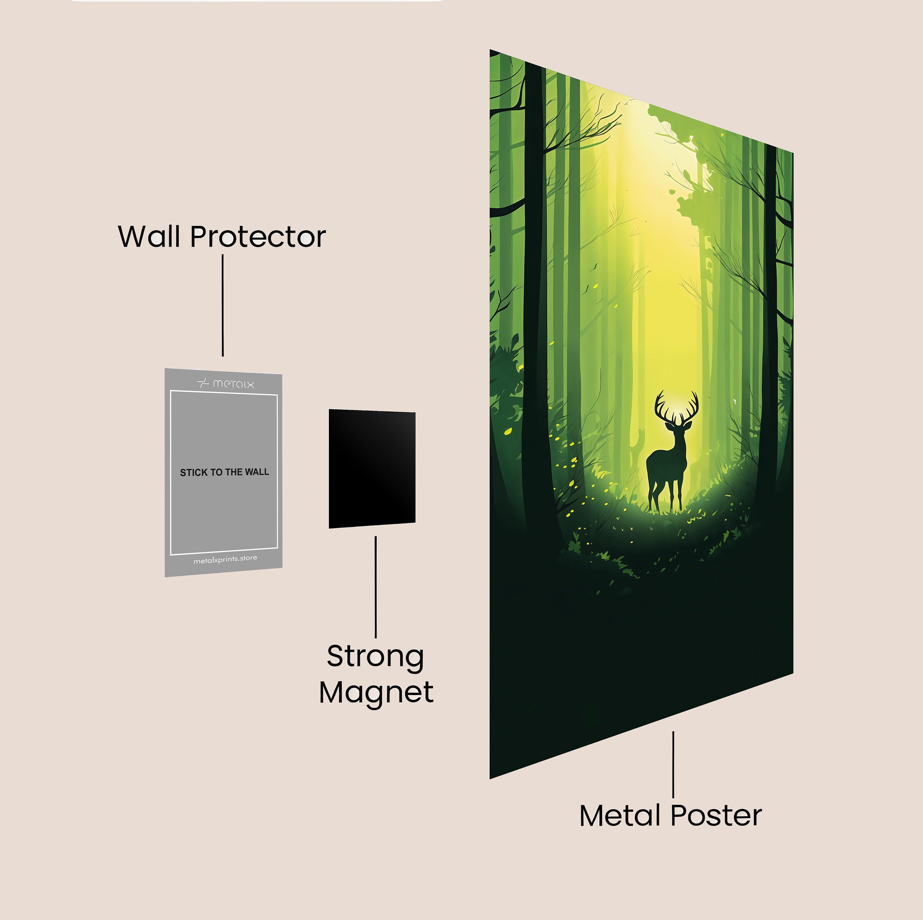 MYSTERIOUS FOREST LANDSCAPE