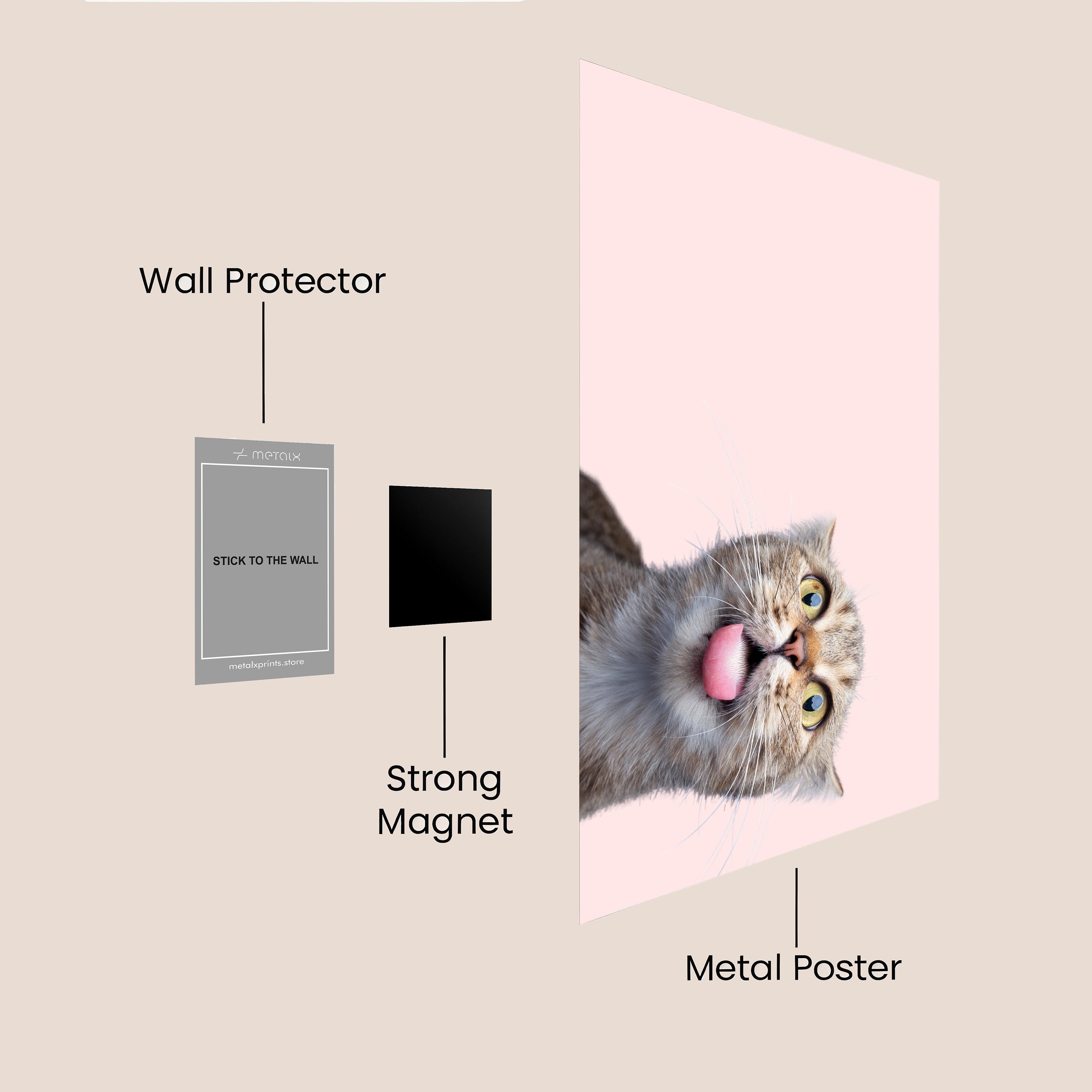 CAT WALLPAPER