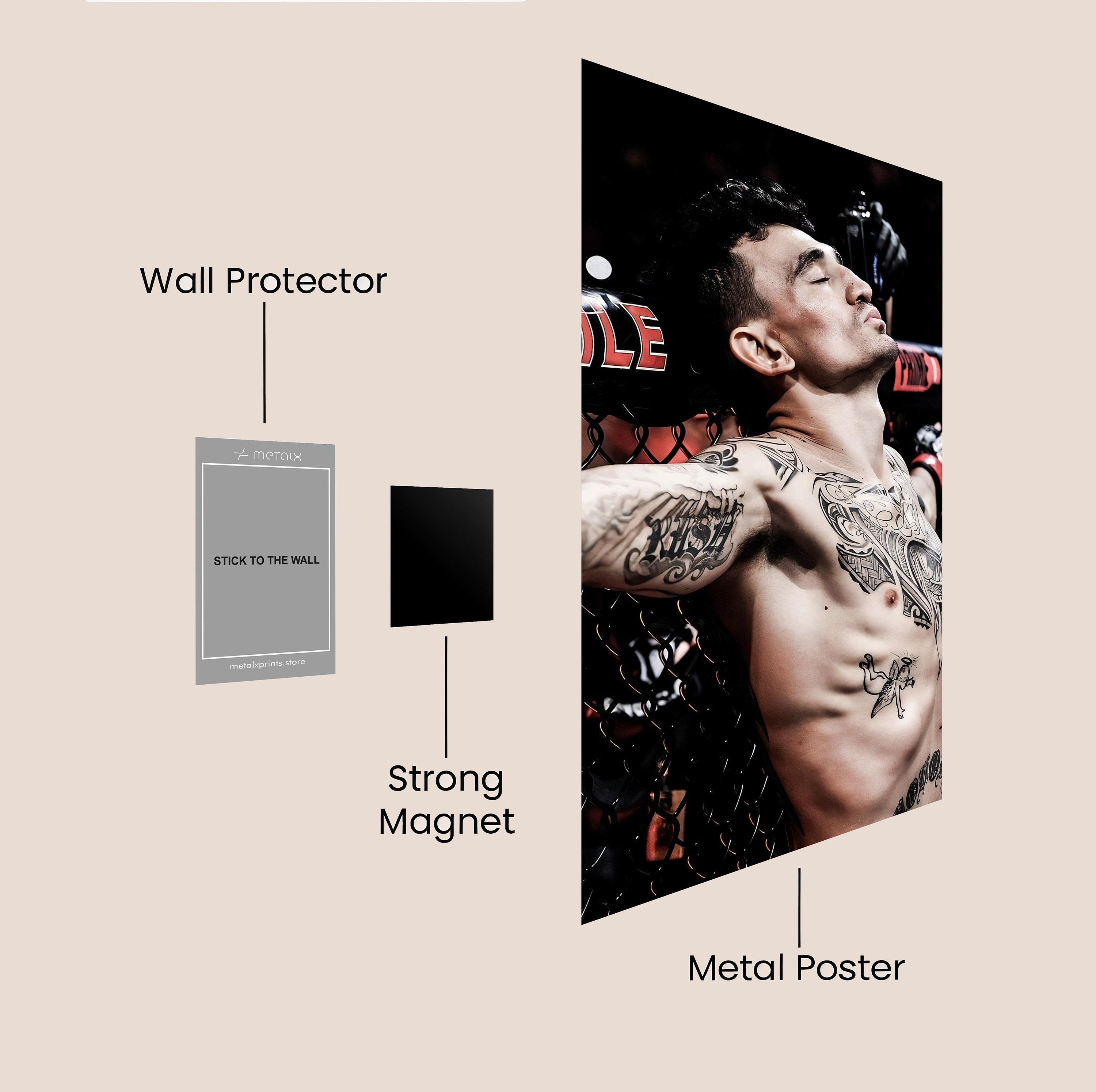 MAX HOLLOWAY UFC POSTER