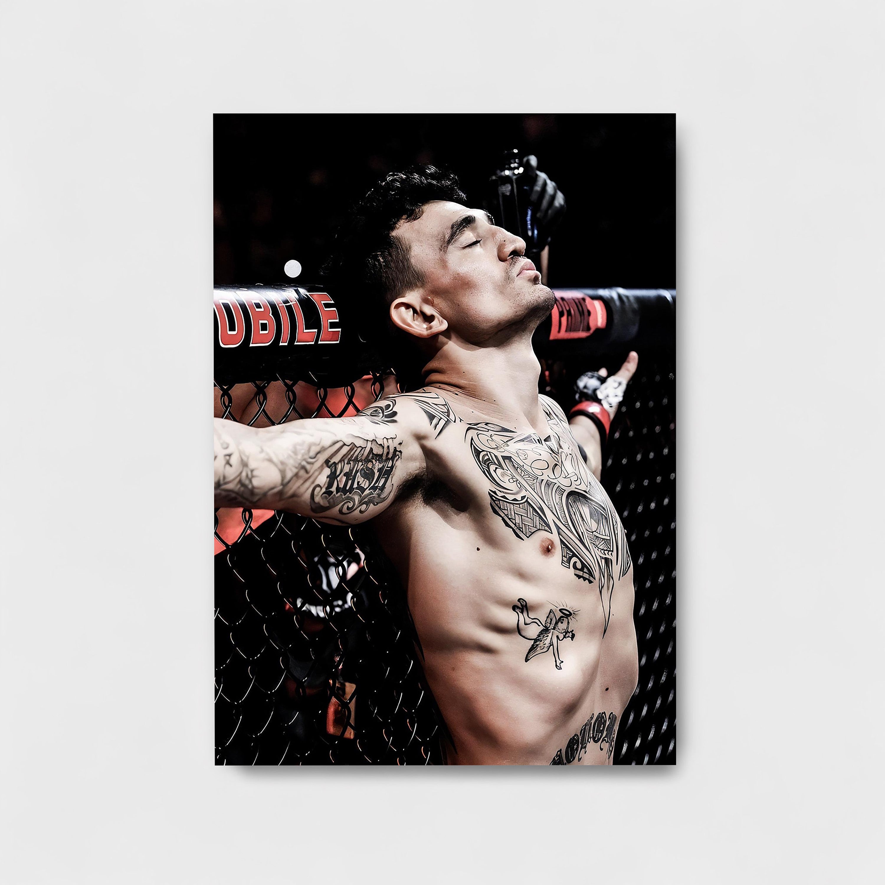 MAX HOLLOWAY UFC POSTER
