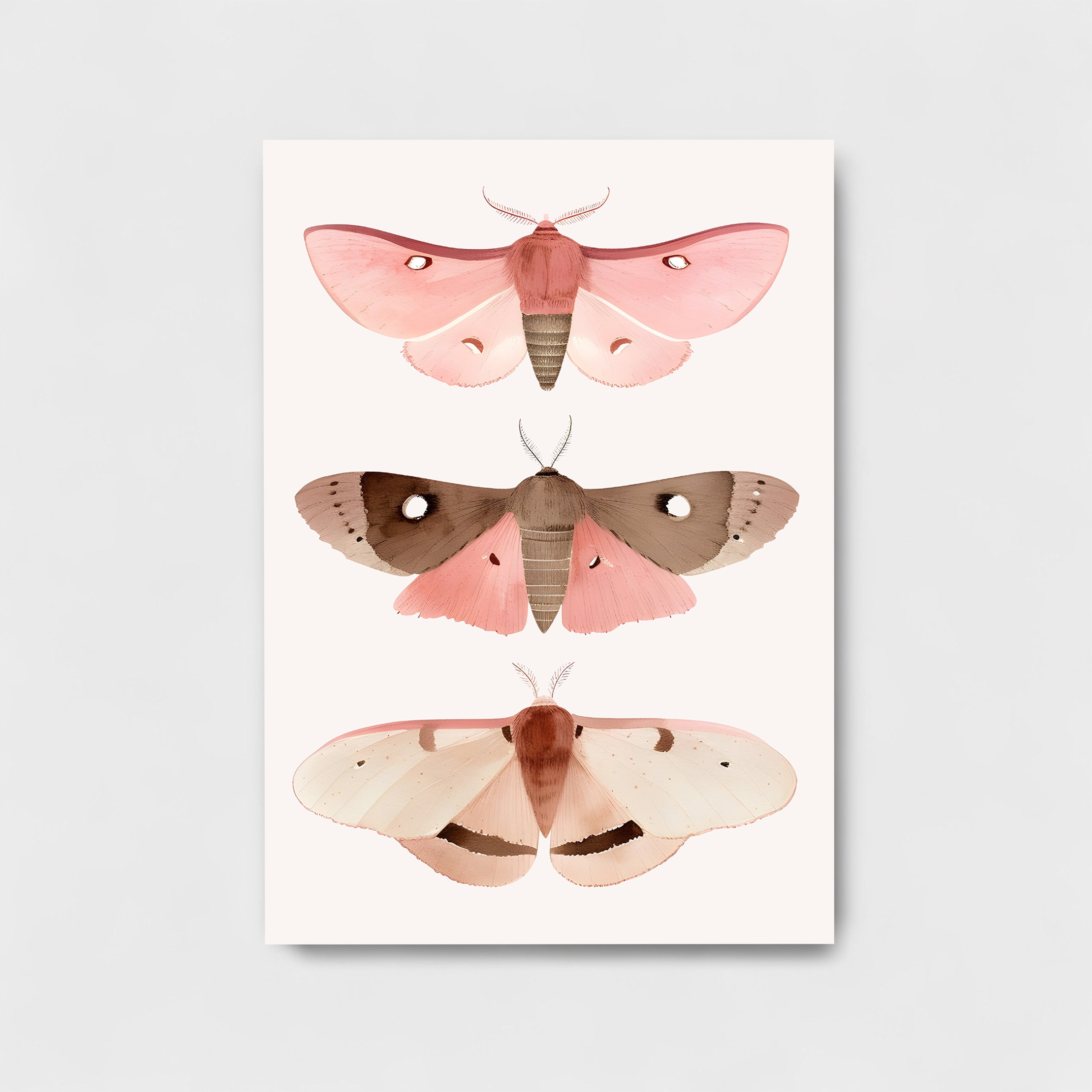 BUTTERFLIES ARTWORK