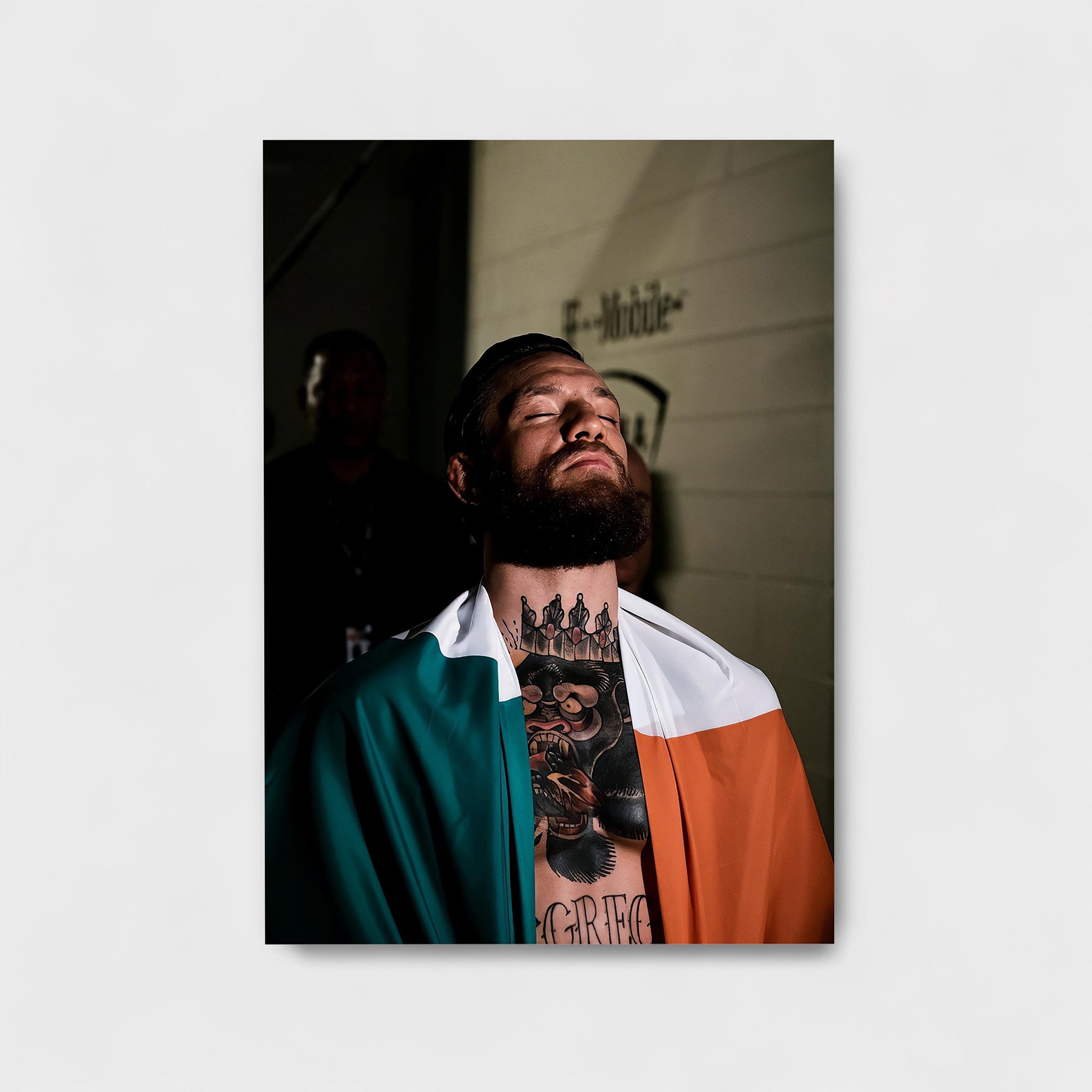 THE NOTORIOUS CONOR MCGREGOR