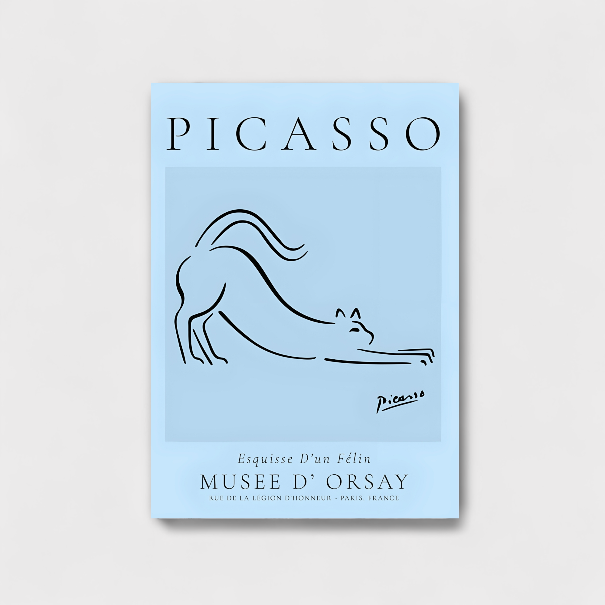 PICASSO MUSEE D' ORSAY