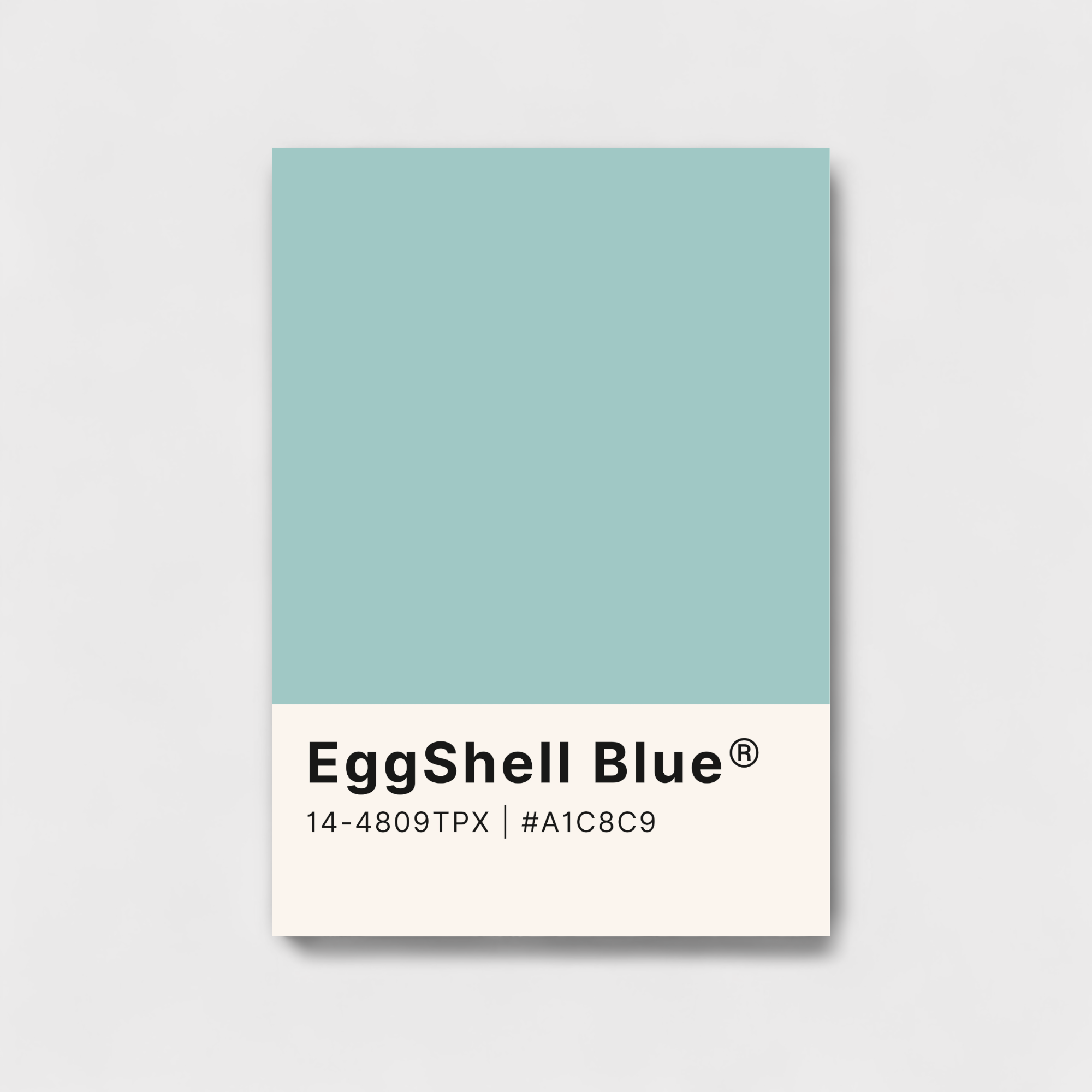 Eggshell Blue color palette