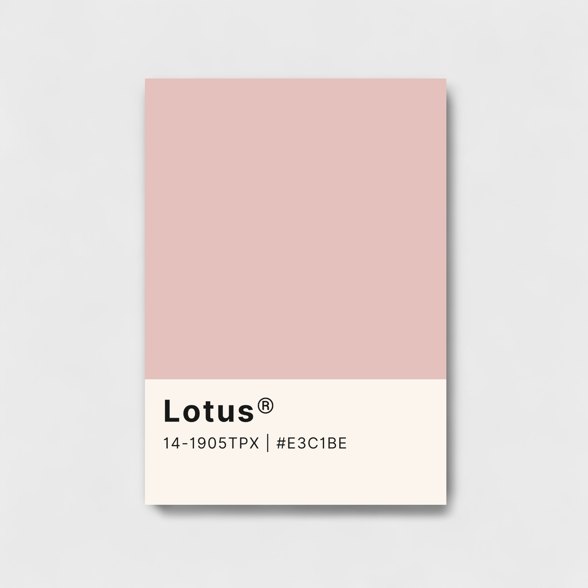 Lotus color palette