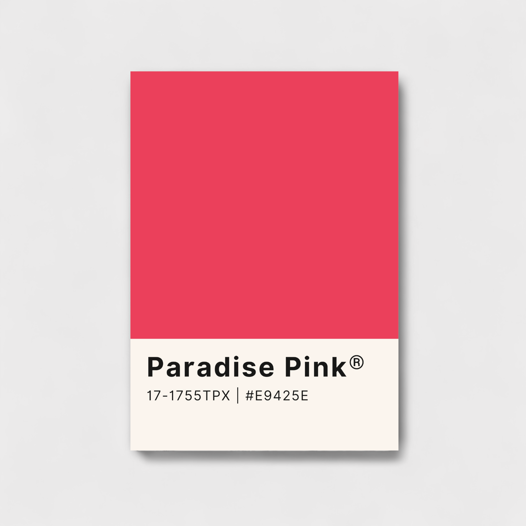 Paradise Pink color palette