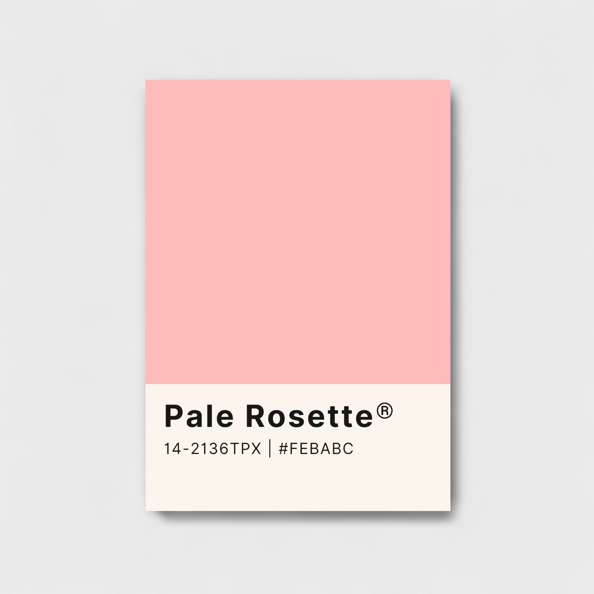 Pale Rosette color palette