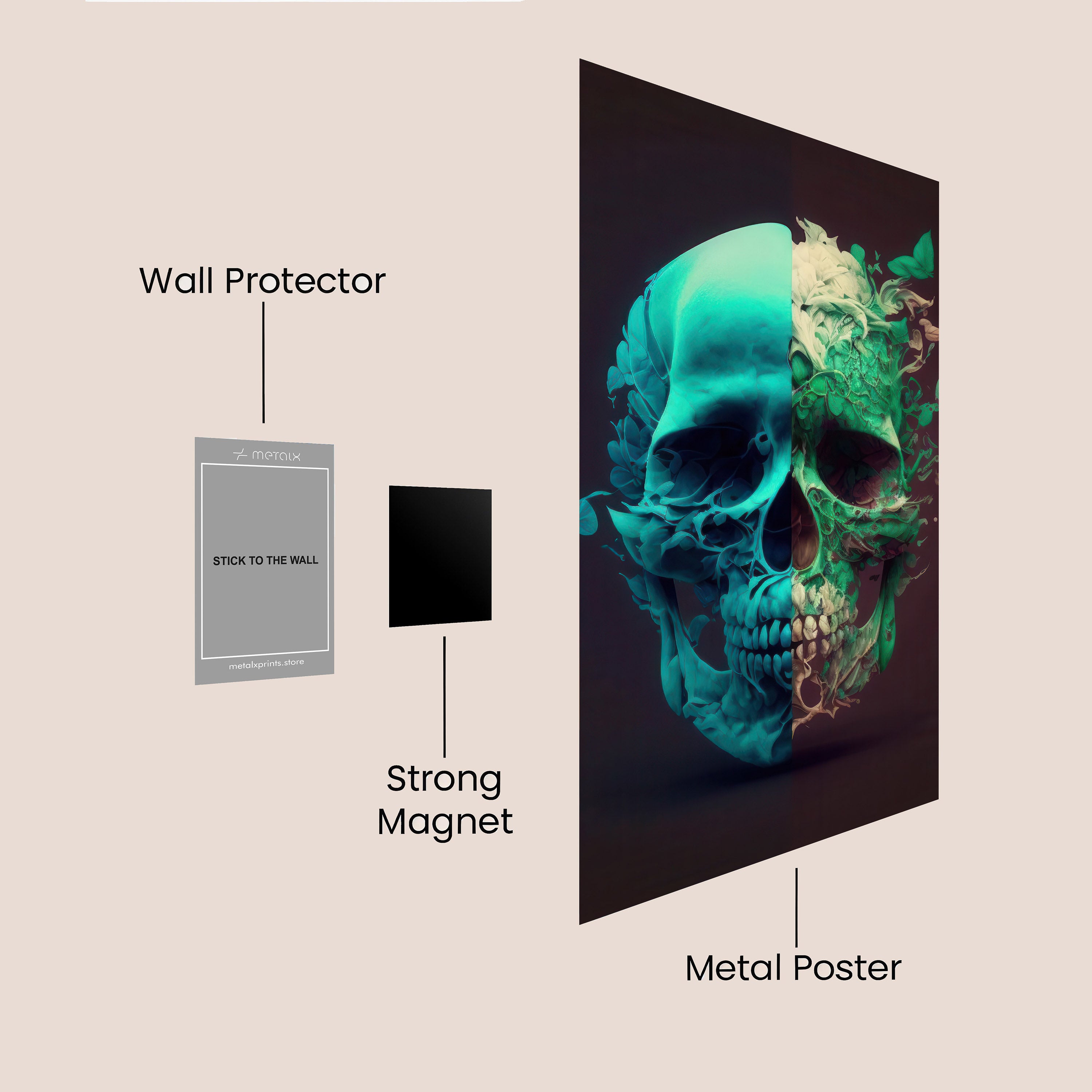 Skull Metamorphosis M