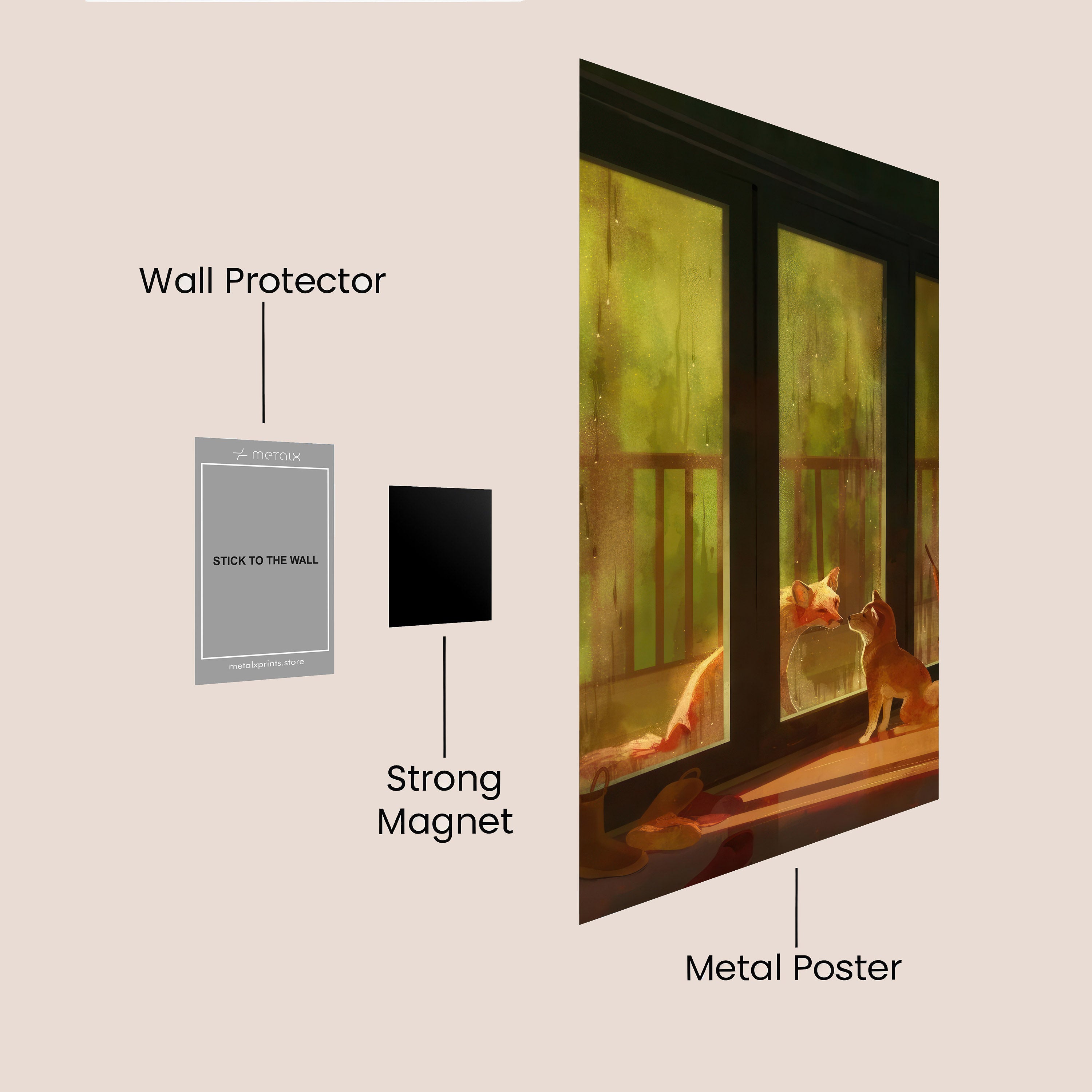 Curious Reflections M