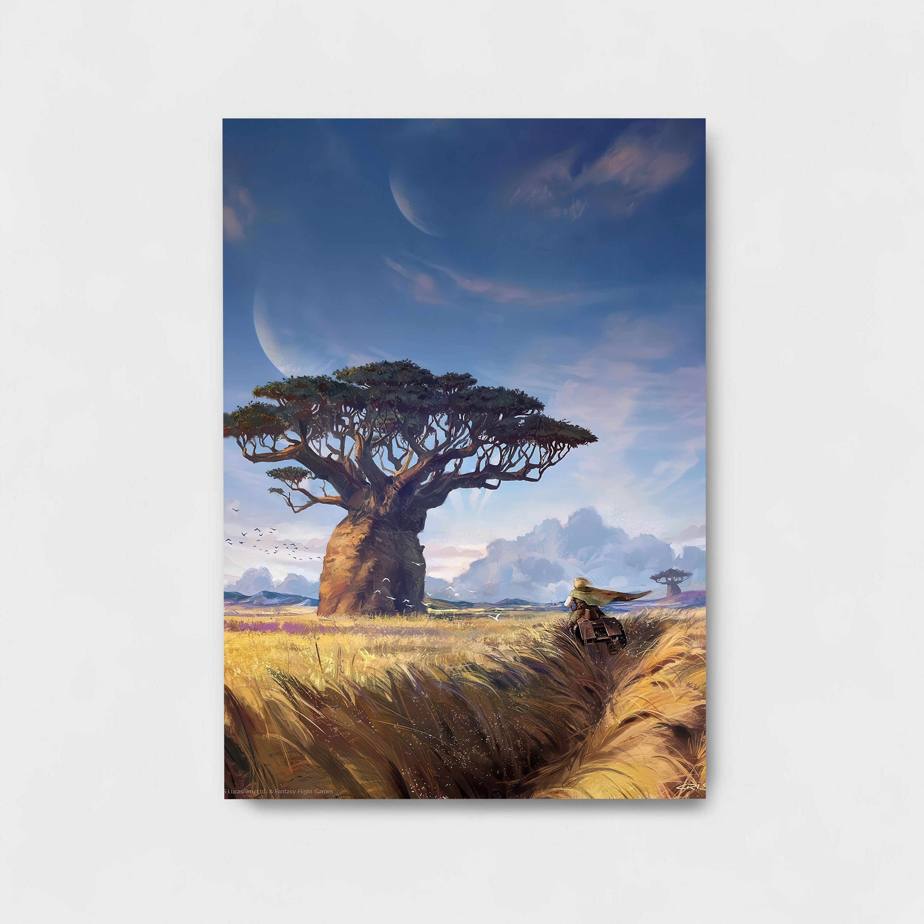 Baobab Reverie M