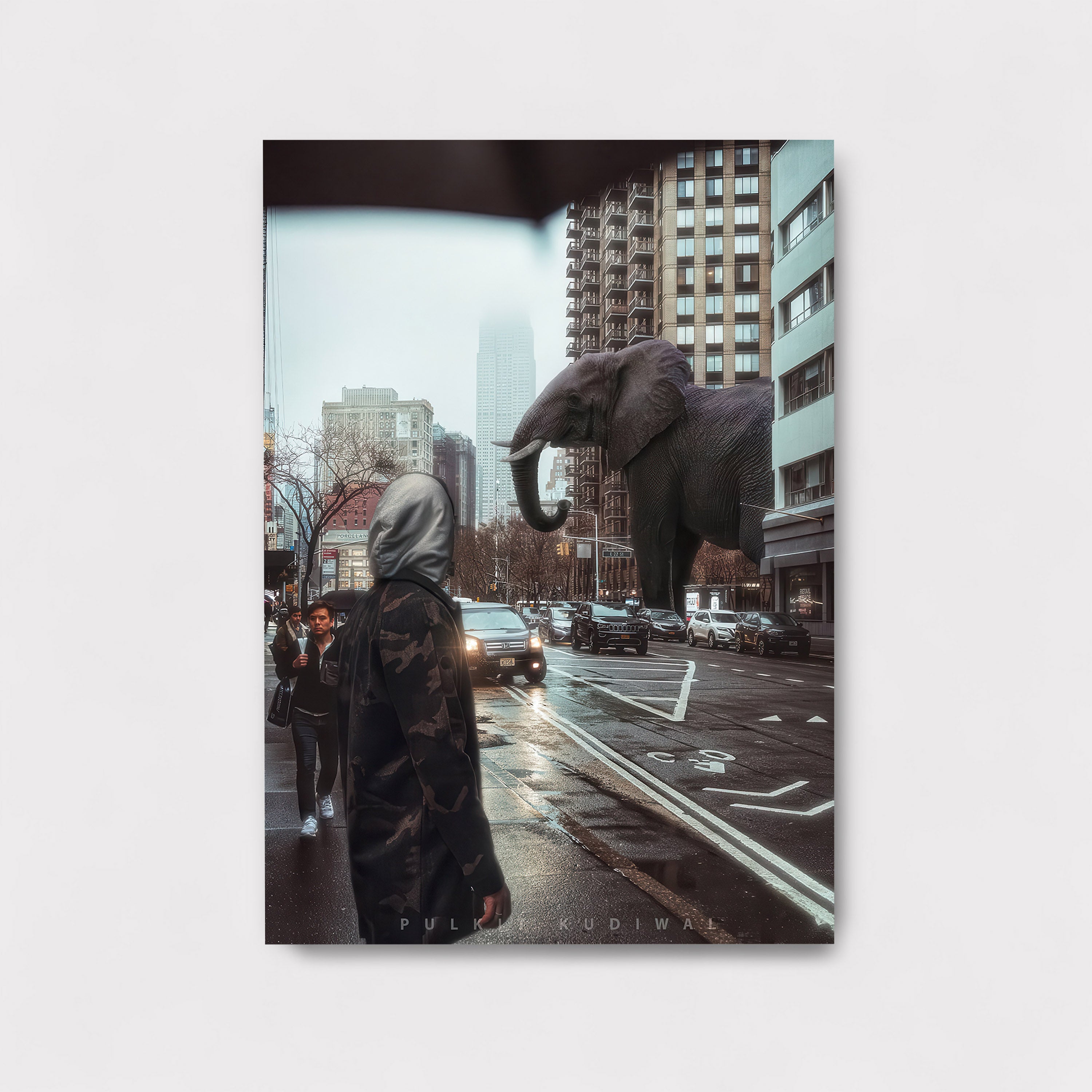 Elephant Urbanity M
