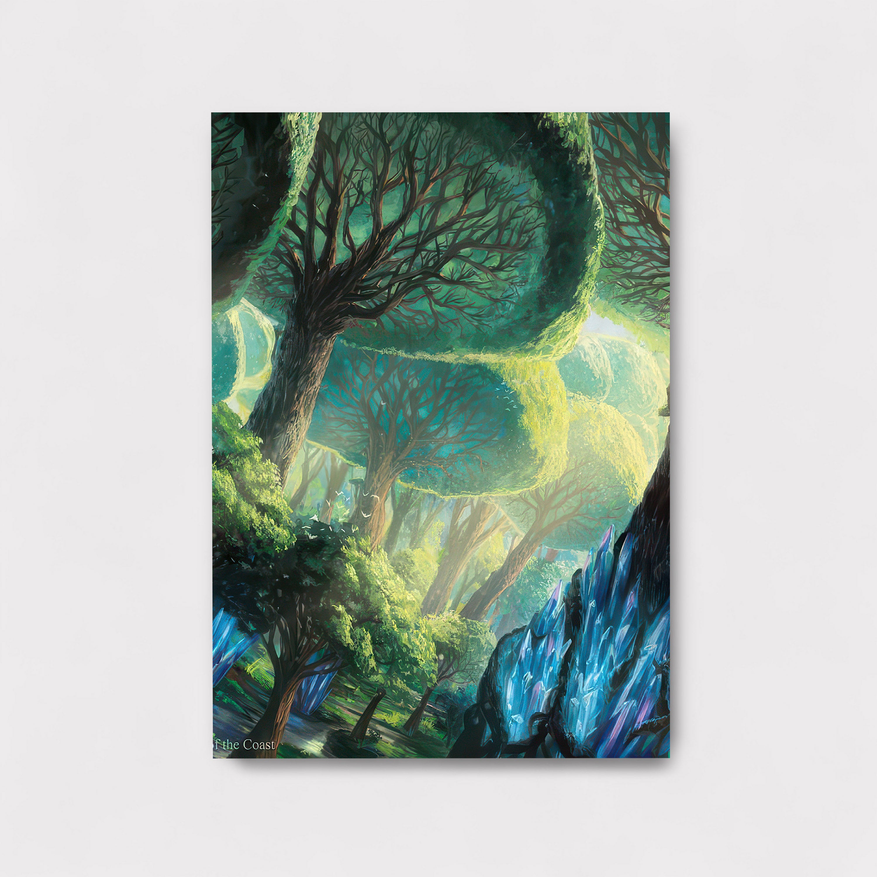 Enchanted Canopy M