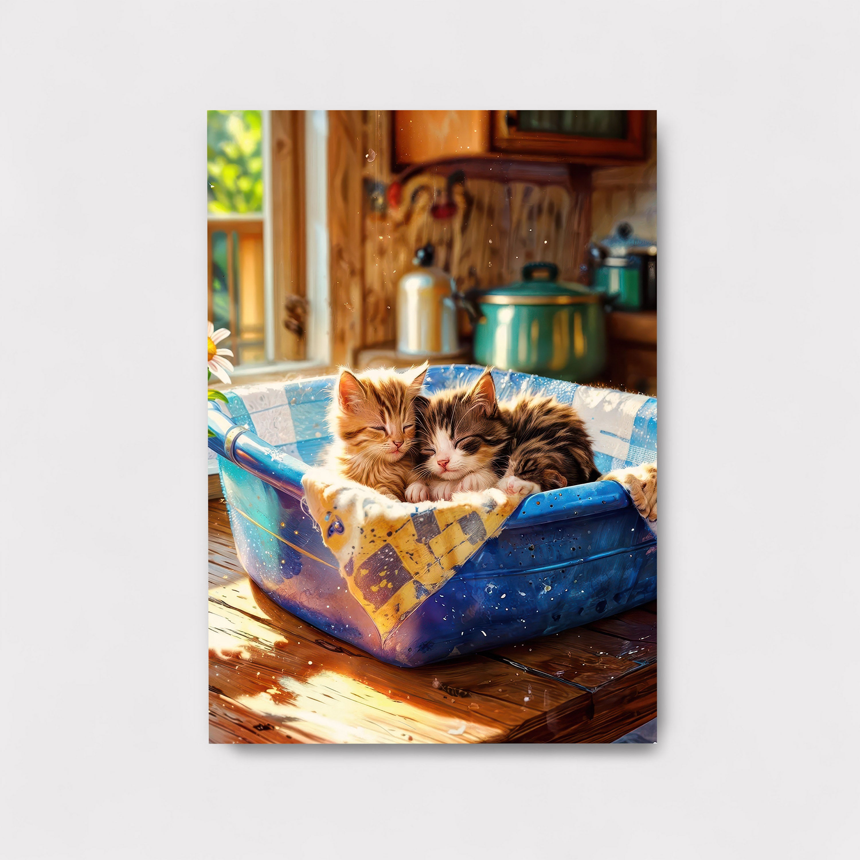 Kitten Bliss M