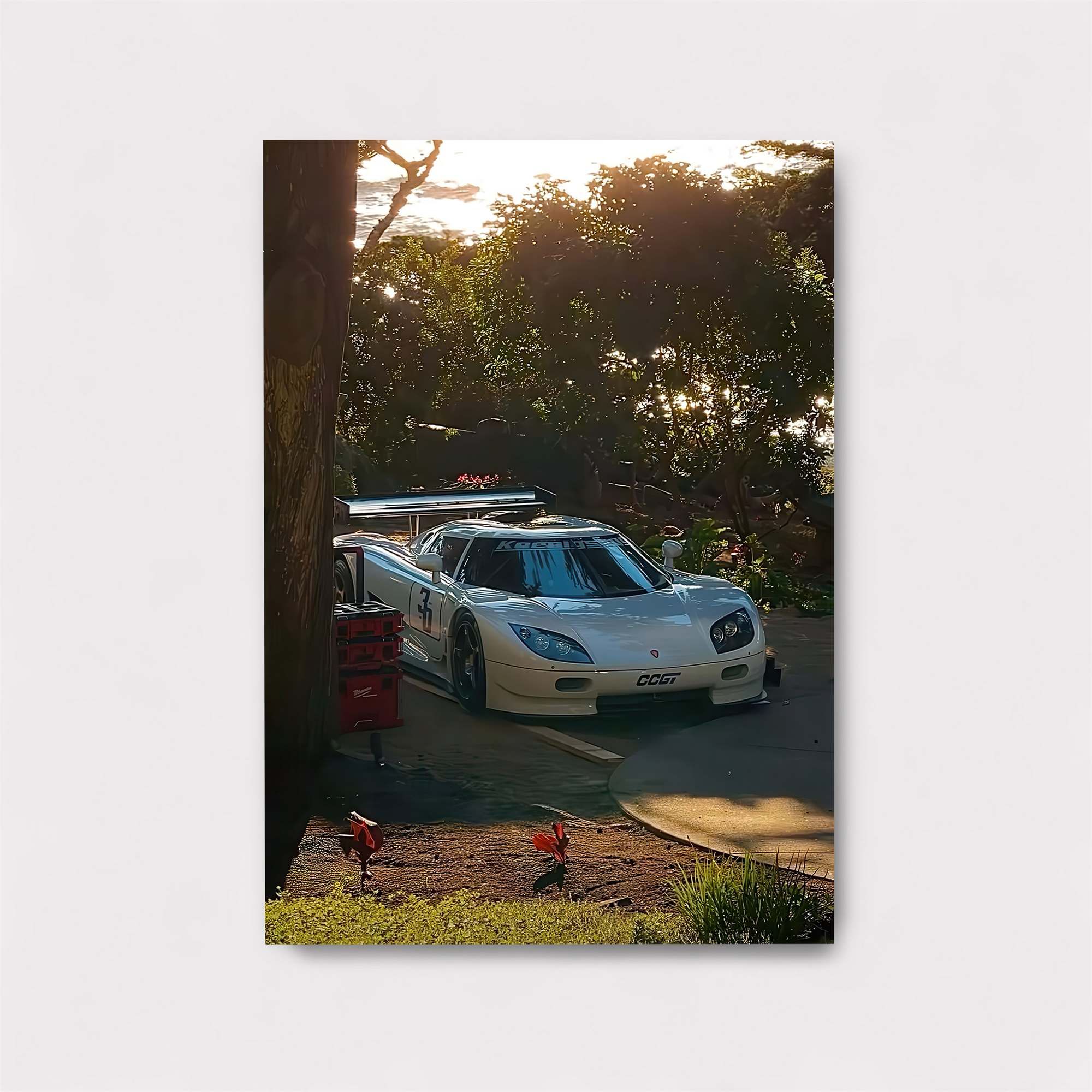 Koenigsegg Serenity Safe Wall Magnetic / M