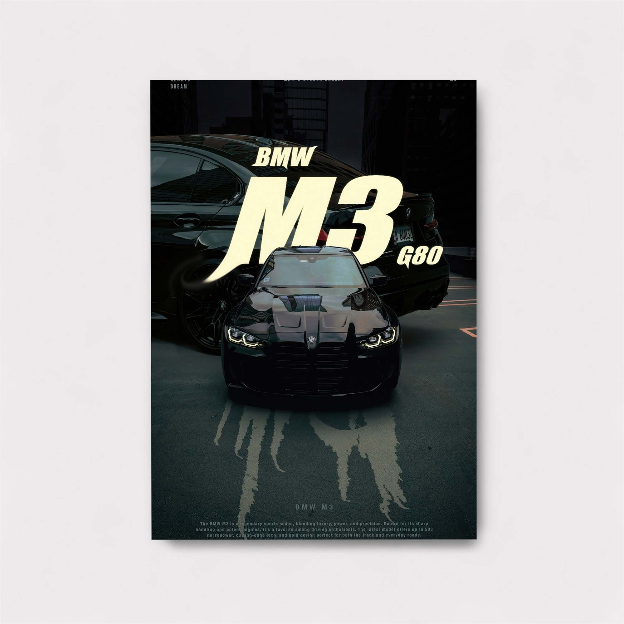 BMW Stealth Safe Wall Magnetic / M