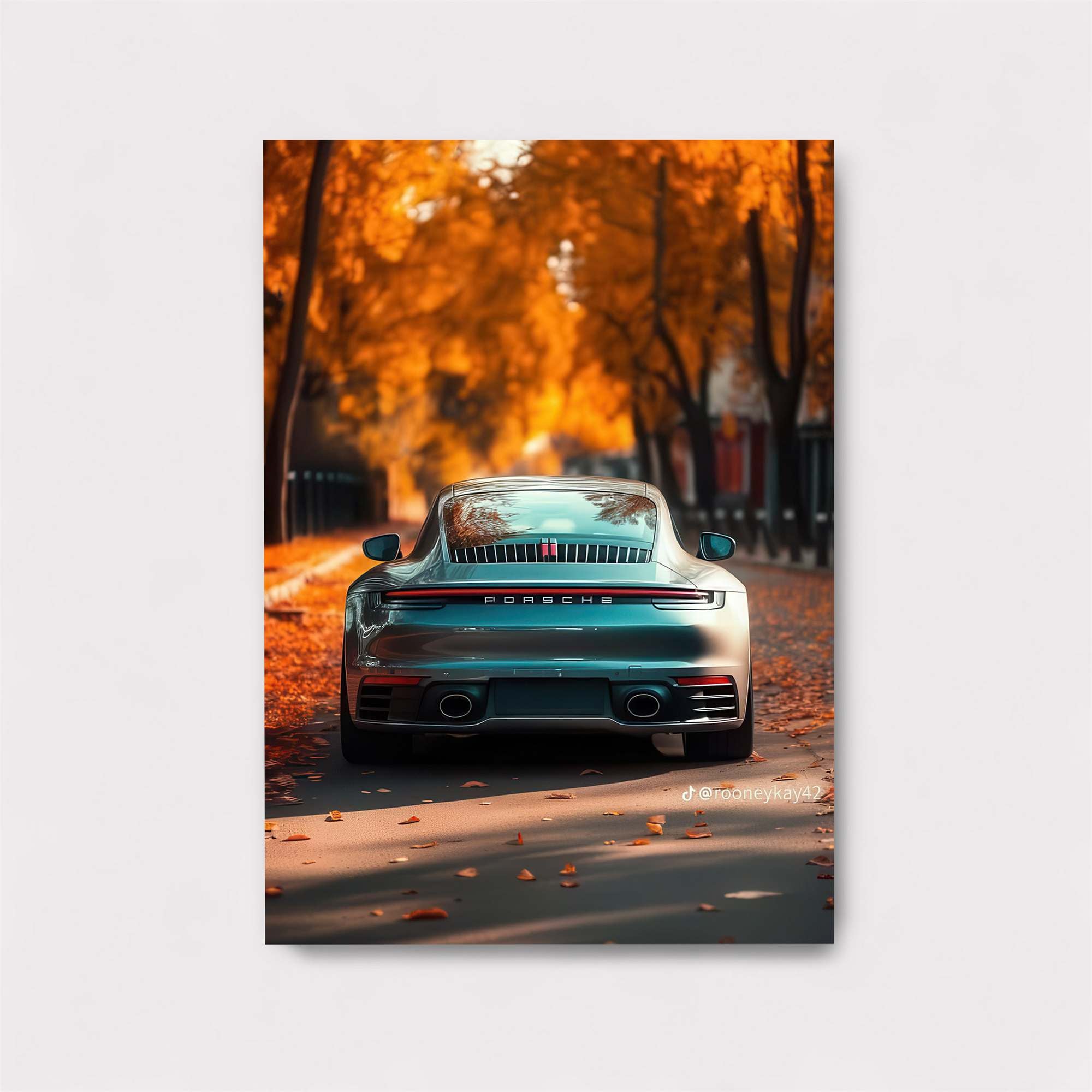 Porsche Serenity Safe Wall Magnetic / M