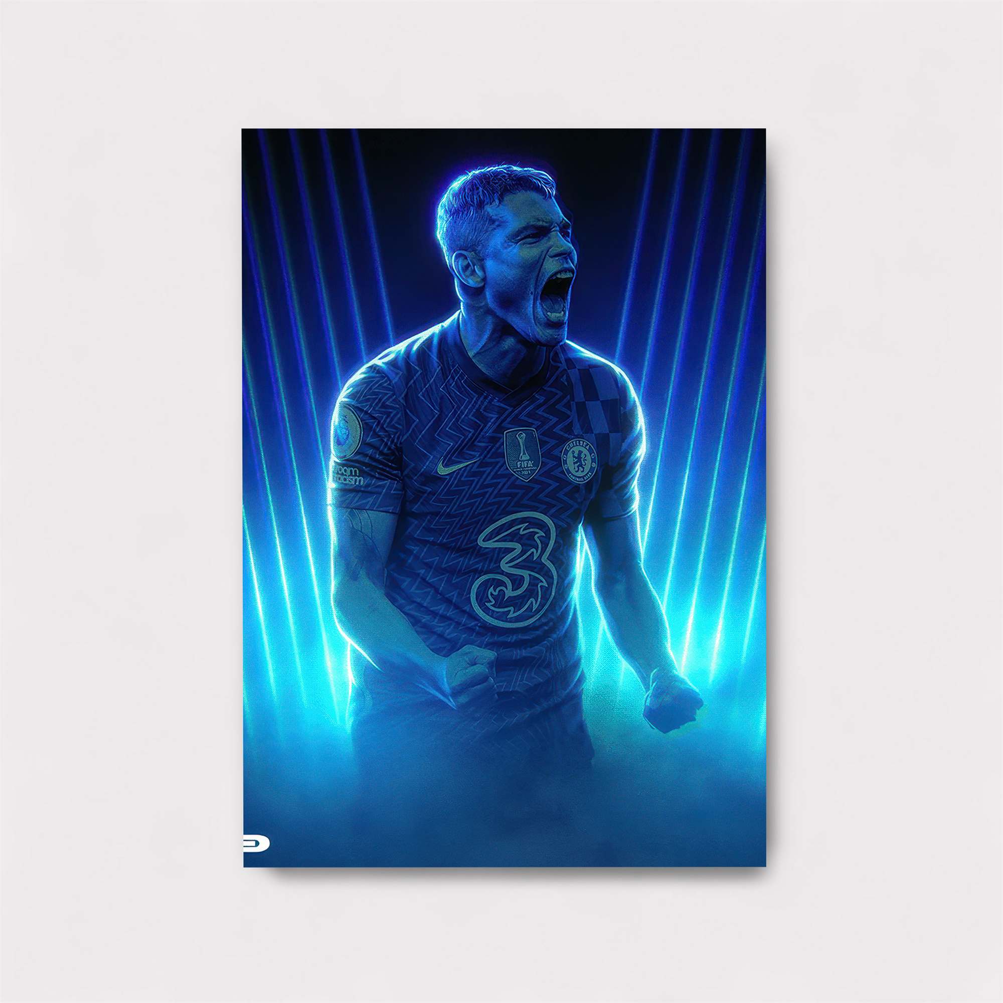 James Ecstatic Safe Wall Magnetic / M