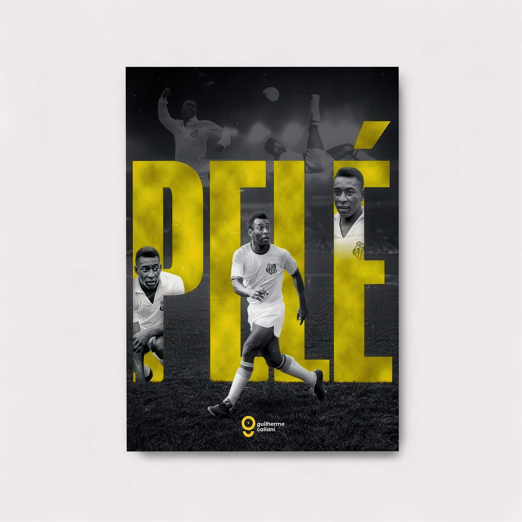 Pel? Dynamic Safe Wall Magnetic / M
