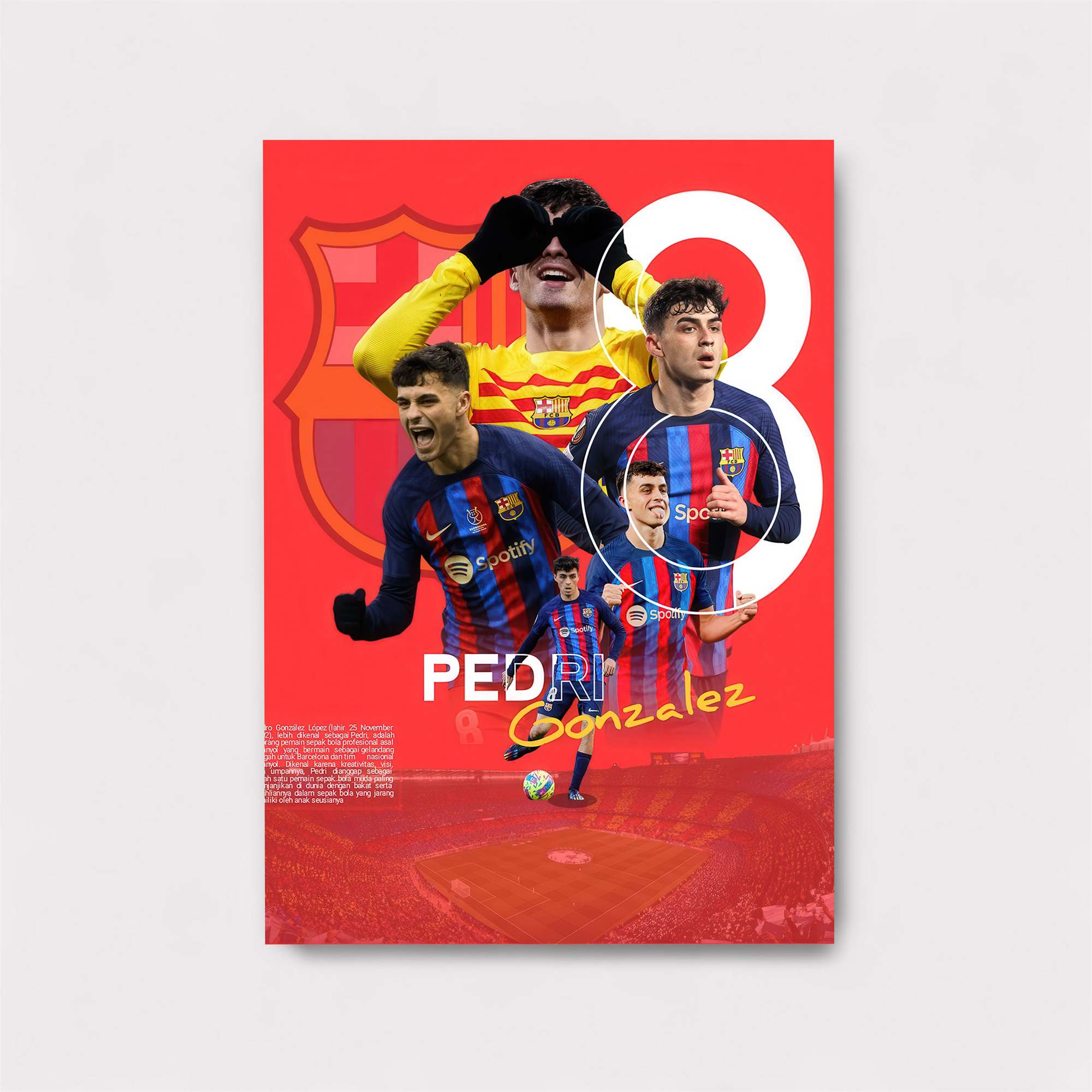 Pedri Passion Safe Wall Magnetic / M