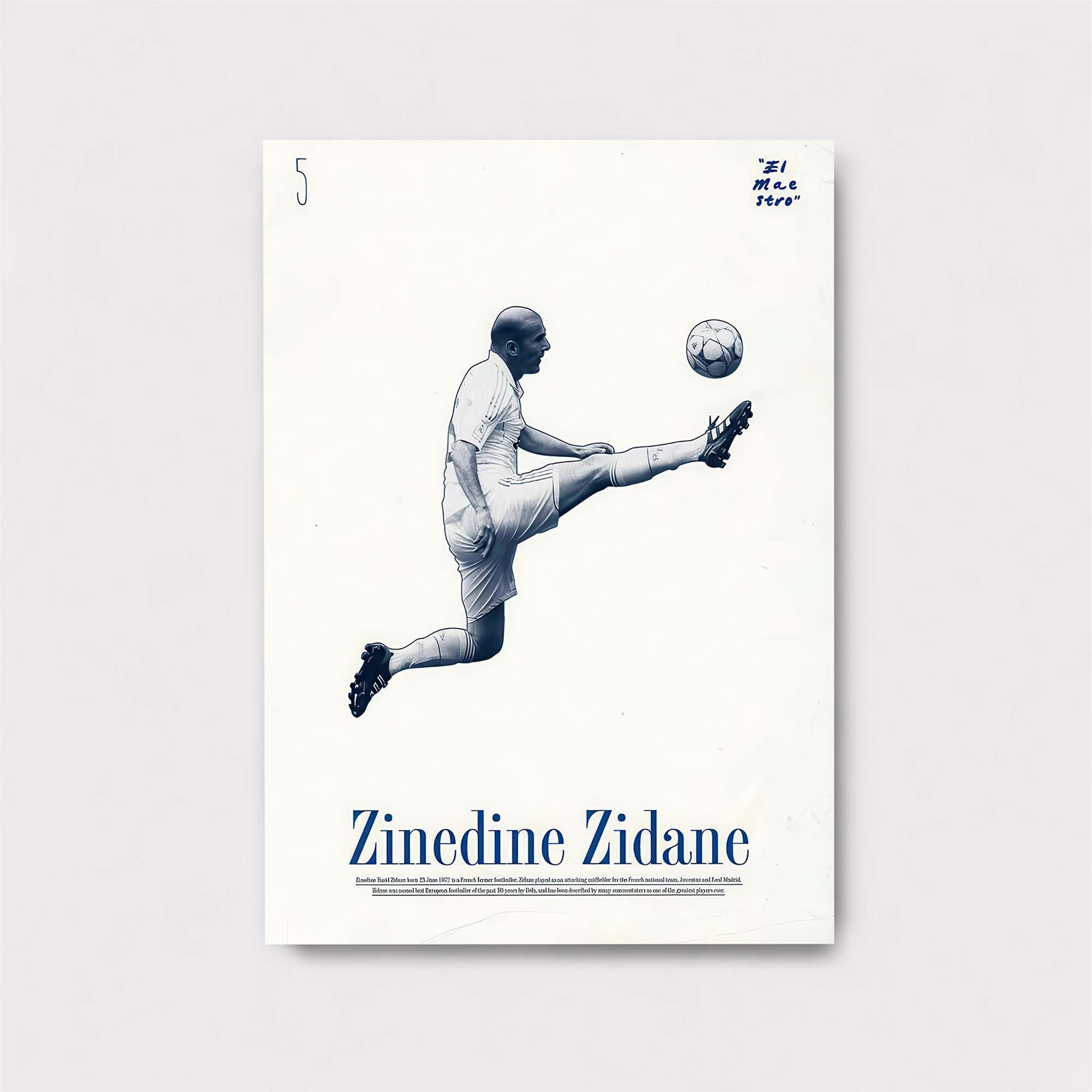 Zidane Zenith Safe Wall Magnetic / M
