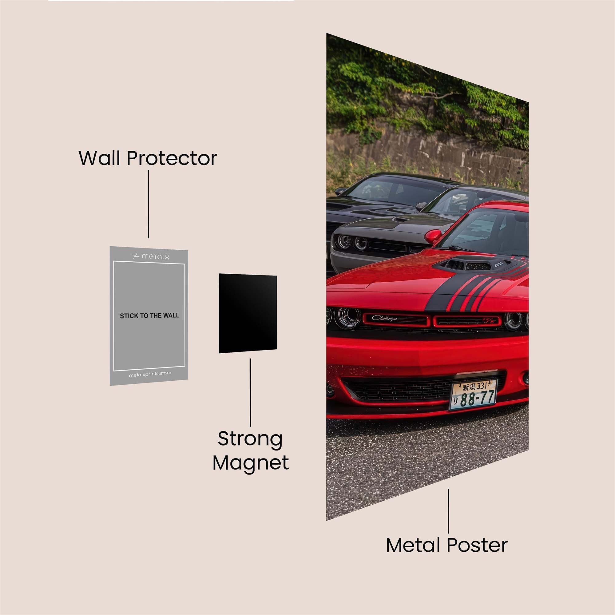 Dodge Dynamic Safe Wall Magnetic / M