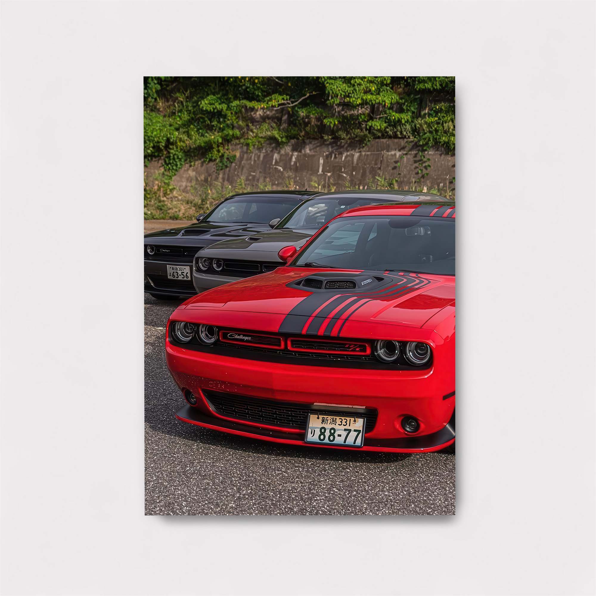 Dodge Dynamic Safe Wall Magnetic / M