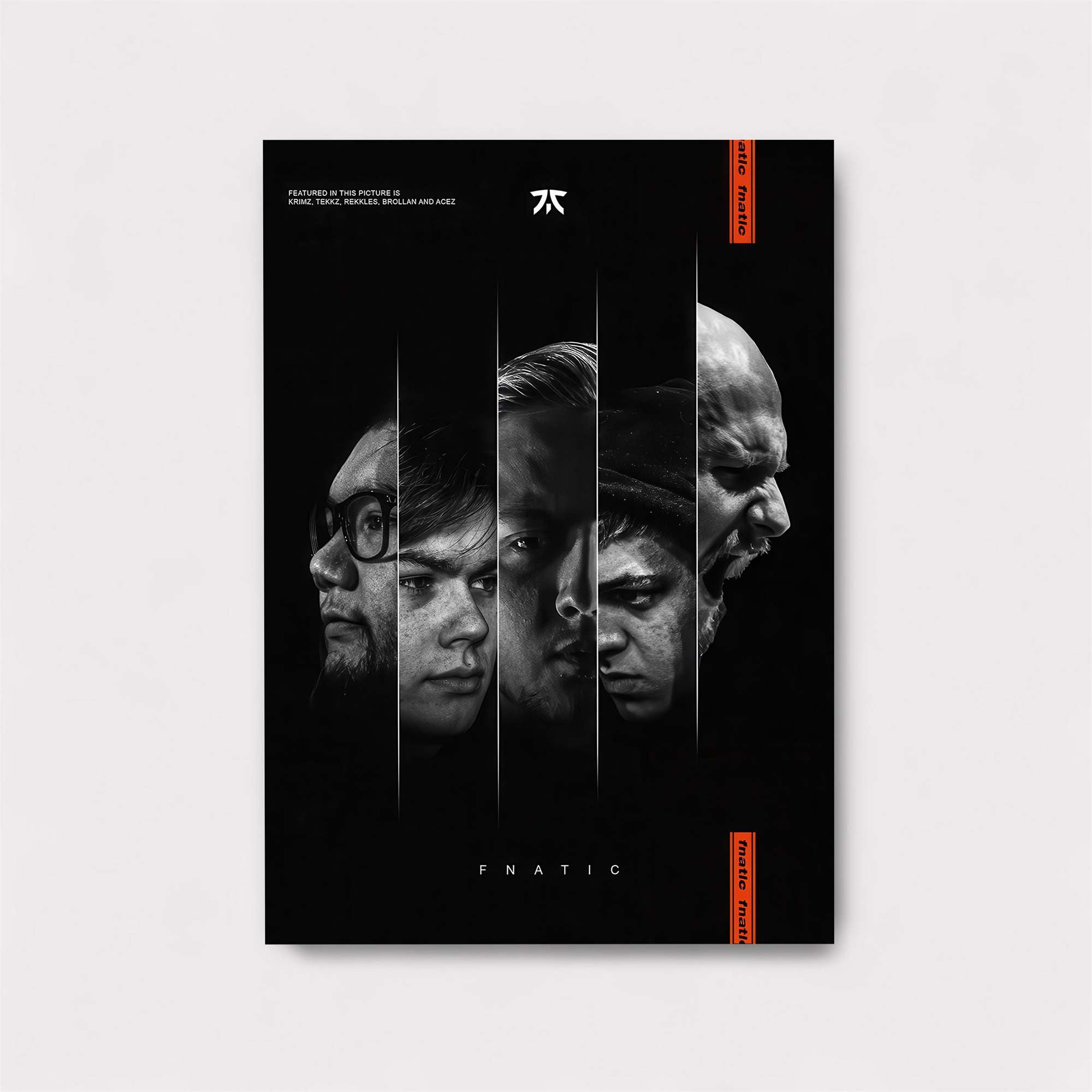 Fnatic Fusion Safe Wall Magnetic / M