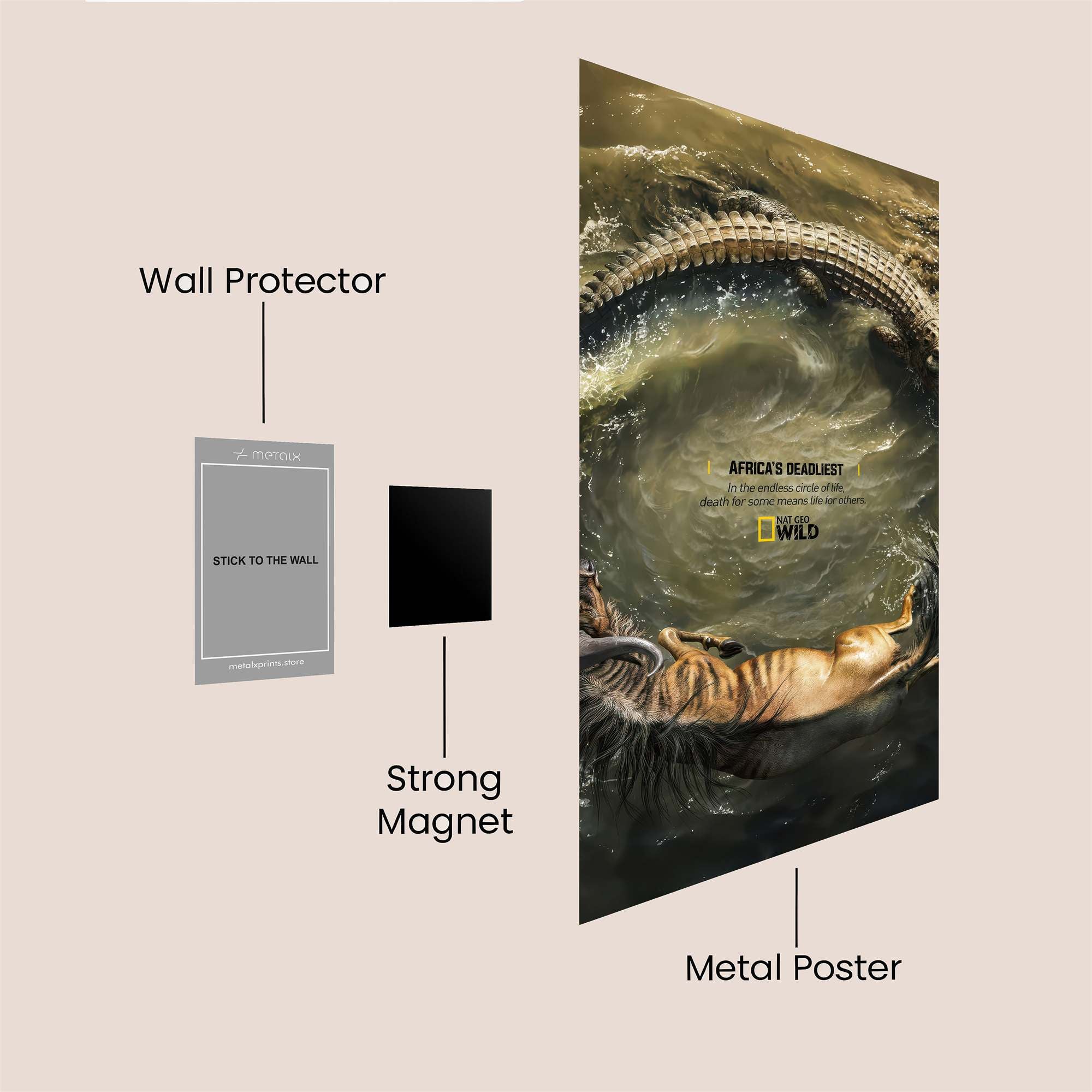 Crocodile Clash Safe Wall Magnetic / M
