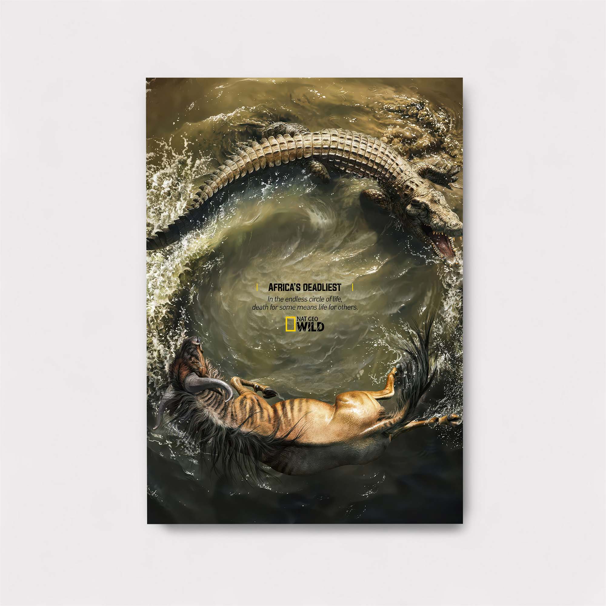 Crocodile Clash Safe Wall Magnetic / M