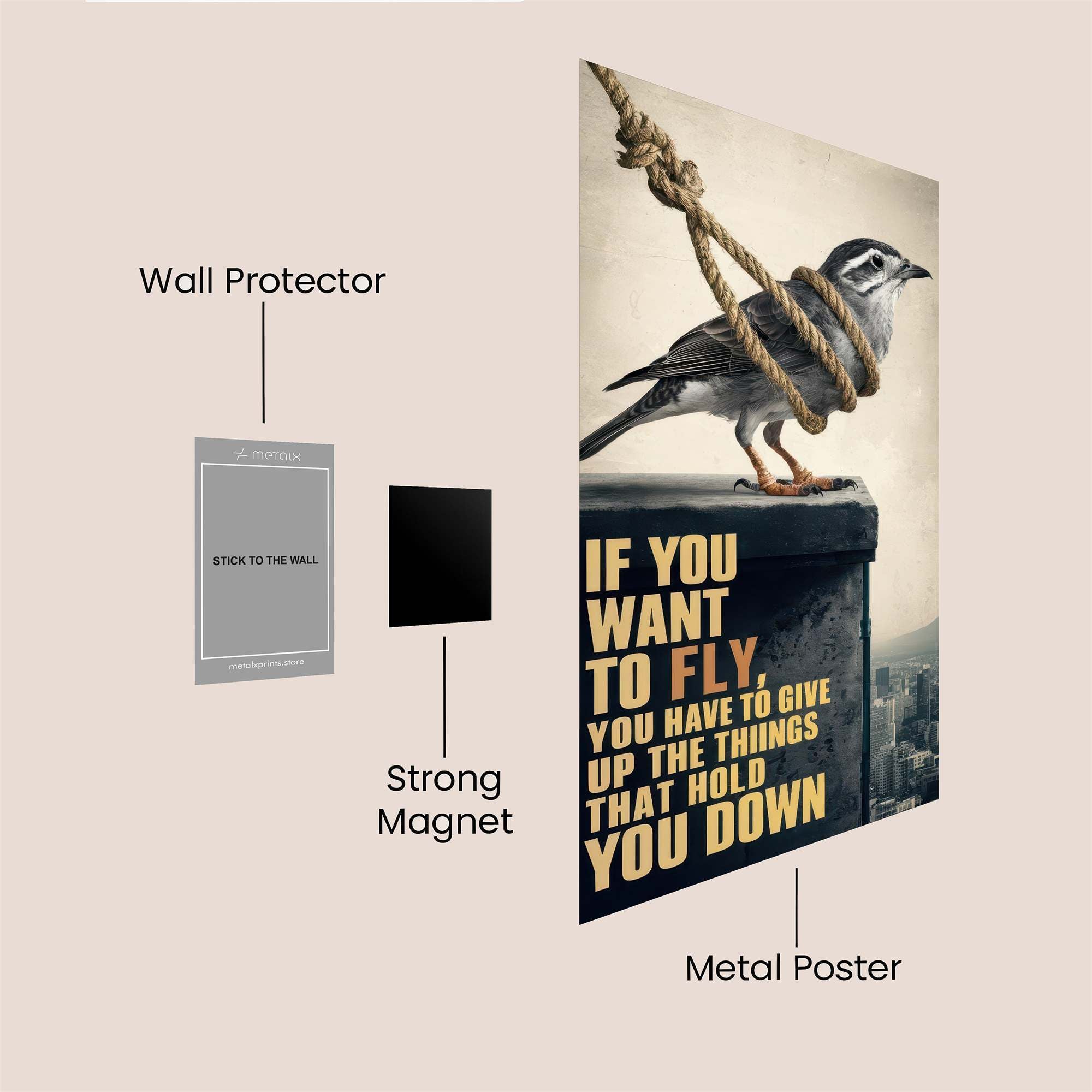 Bird Unshackled Safe Wall Magnetic / M