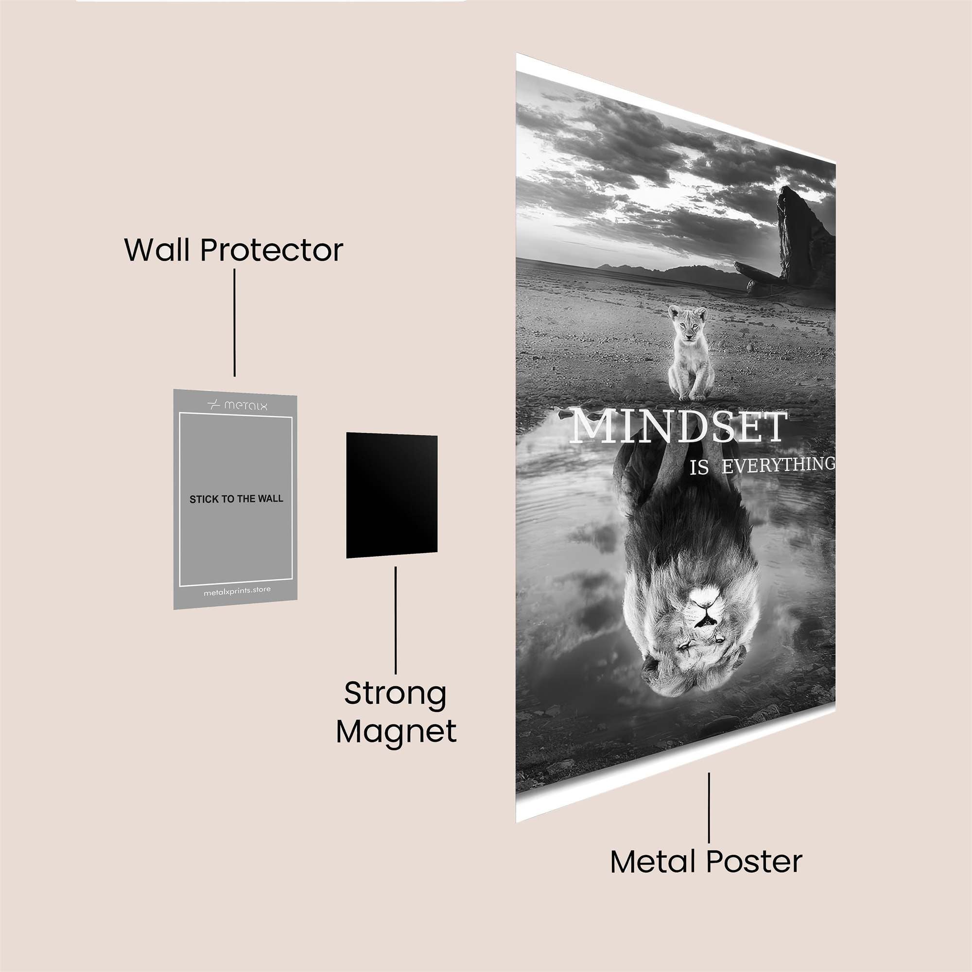 Lion Reflection Safe Wall Magnetic / M