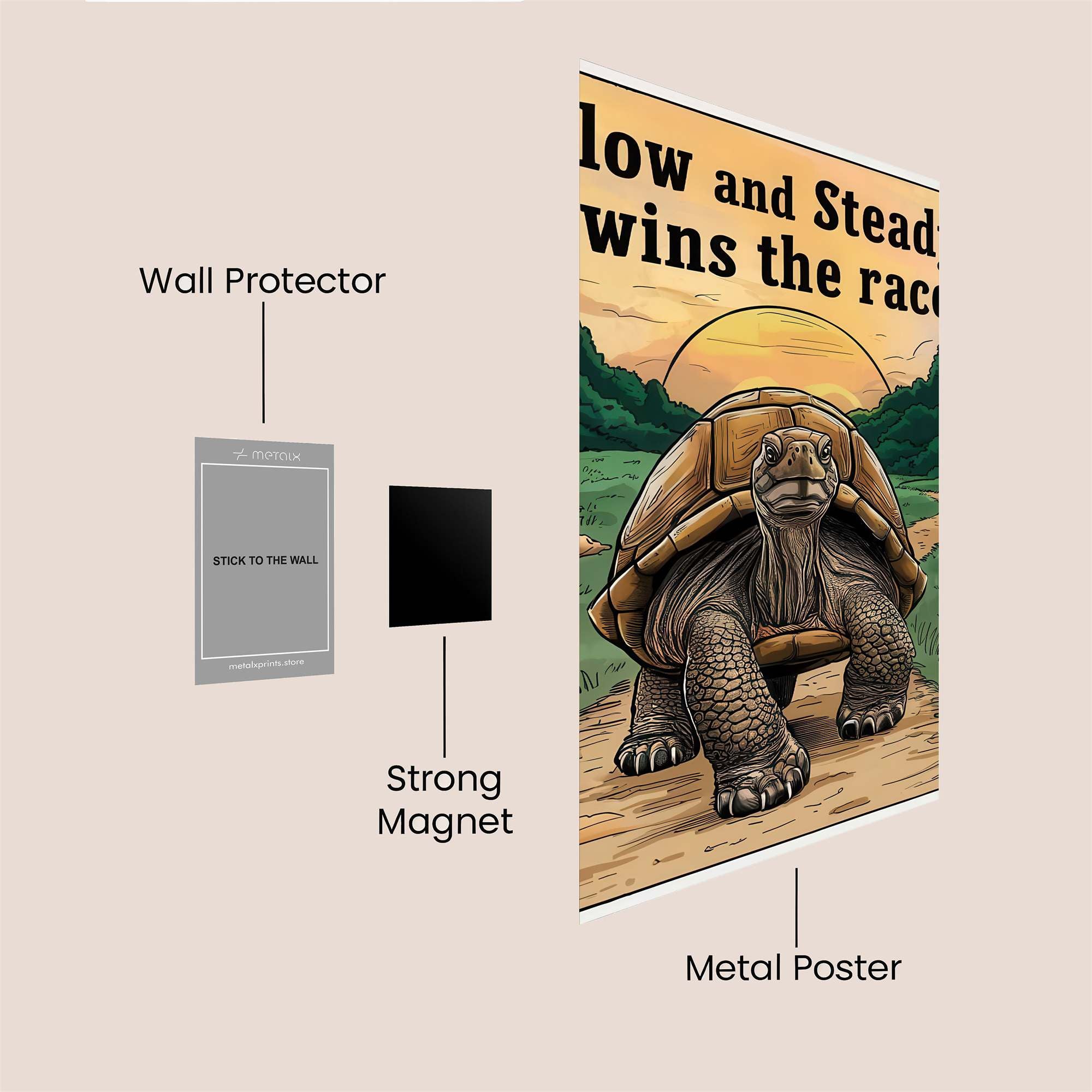 Tortoise Triumph Safe Wall Magnetic / M