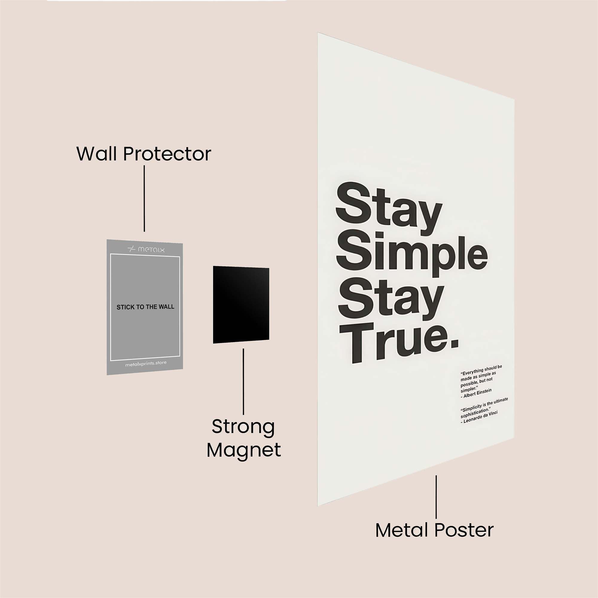 Einstein Inspired Safe Wall Magnetic / M