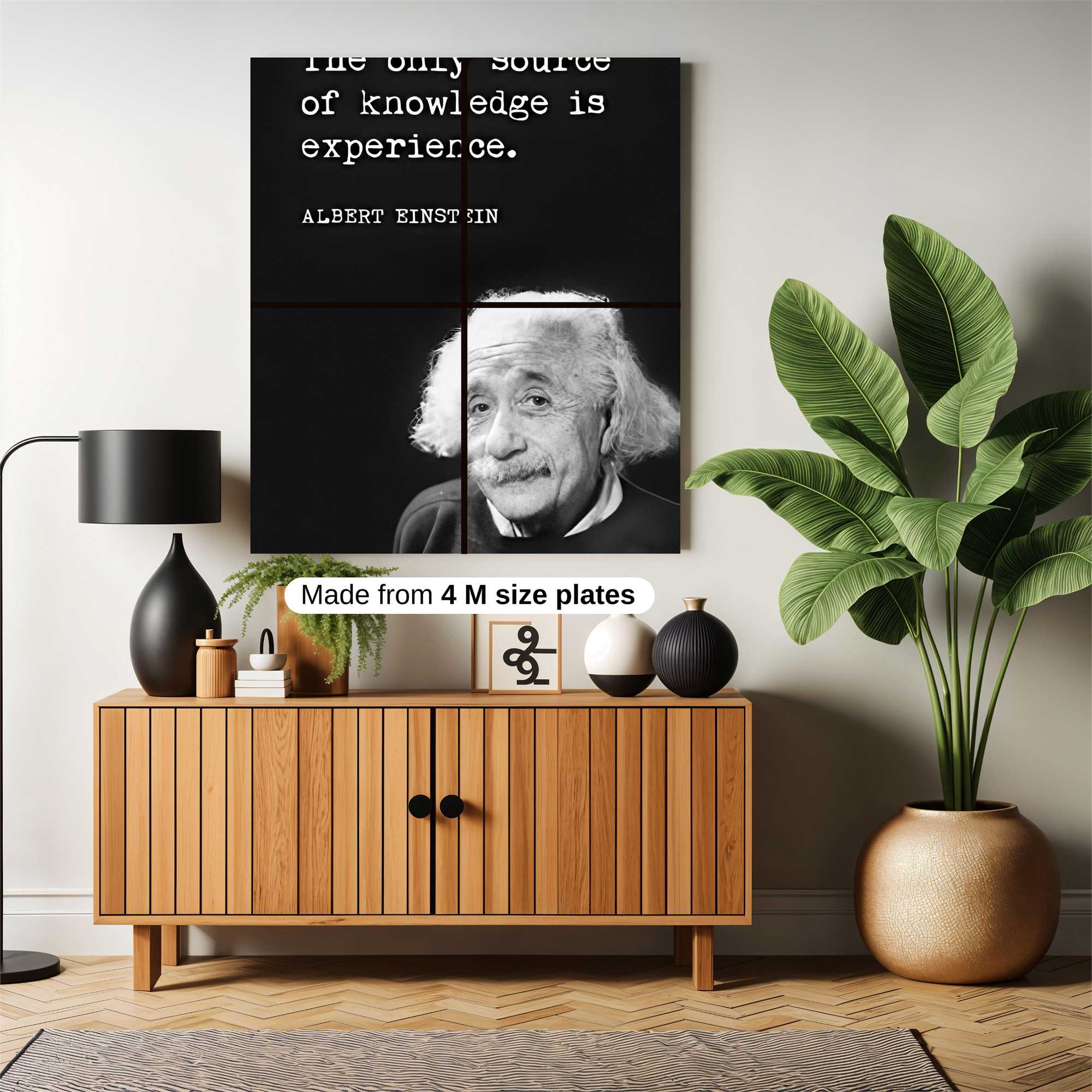 Einstein Insight Safe Wall Magnetic / M