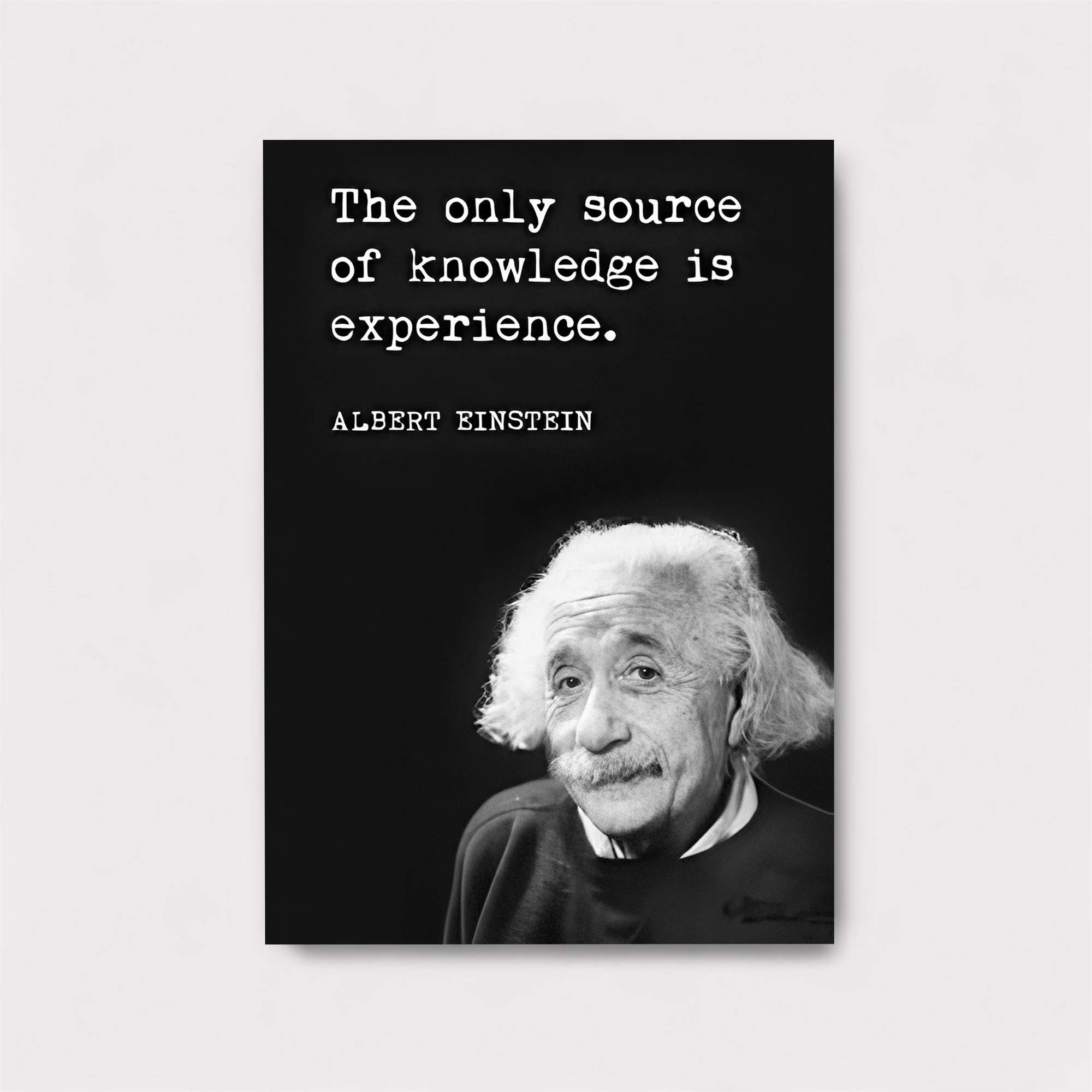 Einstein Insight Safe Wall Magnetic / M