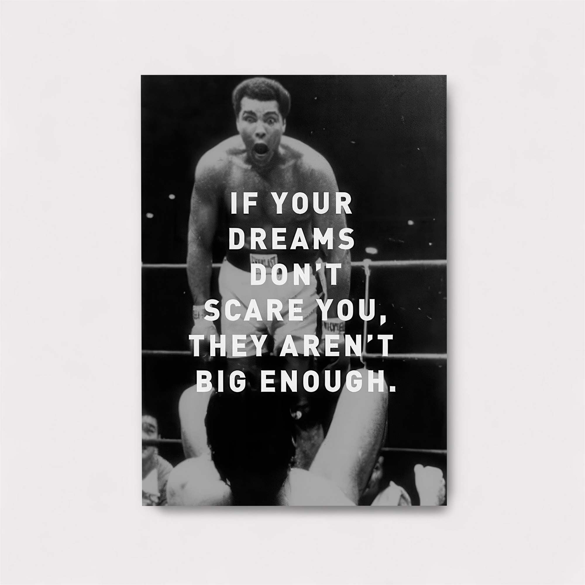 Ali Triumphant Safe Wall Magnetic / M