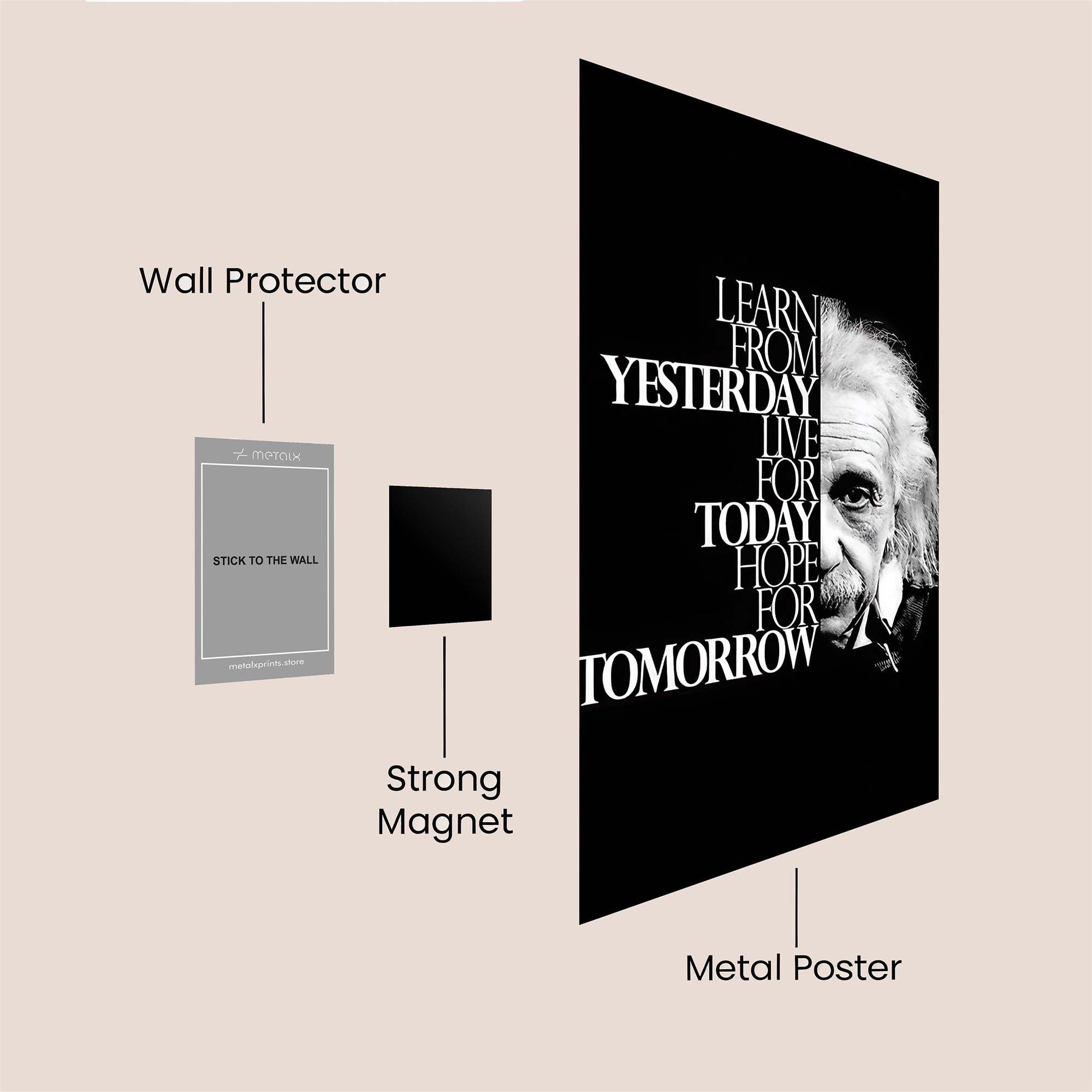 Einstein Inspires Safe Wall Magnetic / M