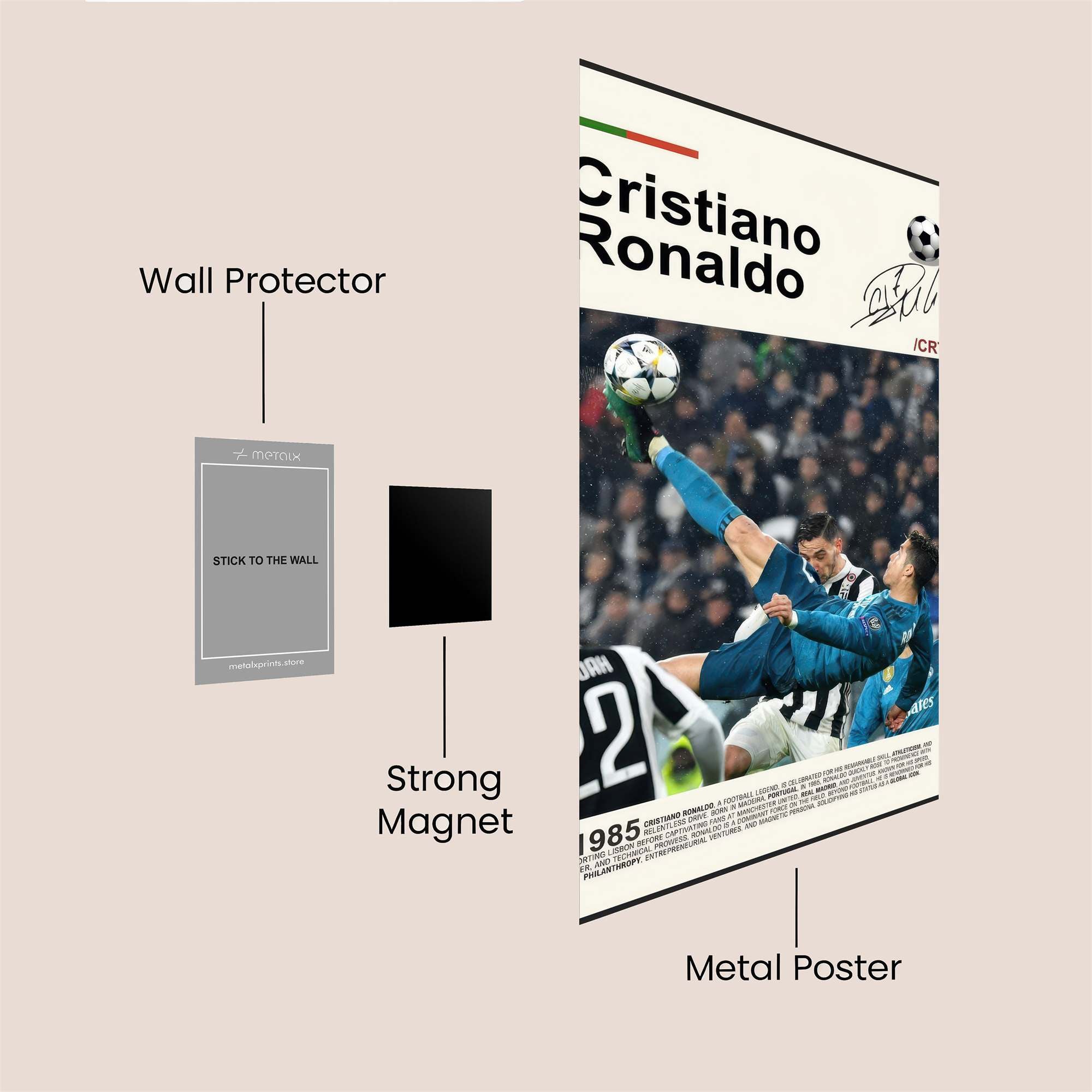 Ronaldo Dynamic Safe Wall Magnetic / M