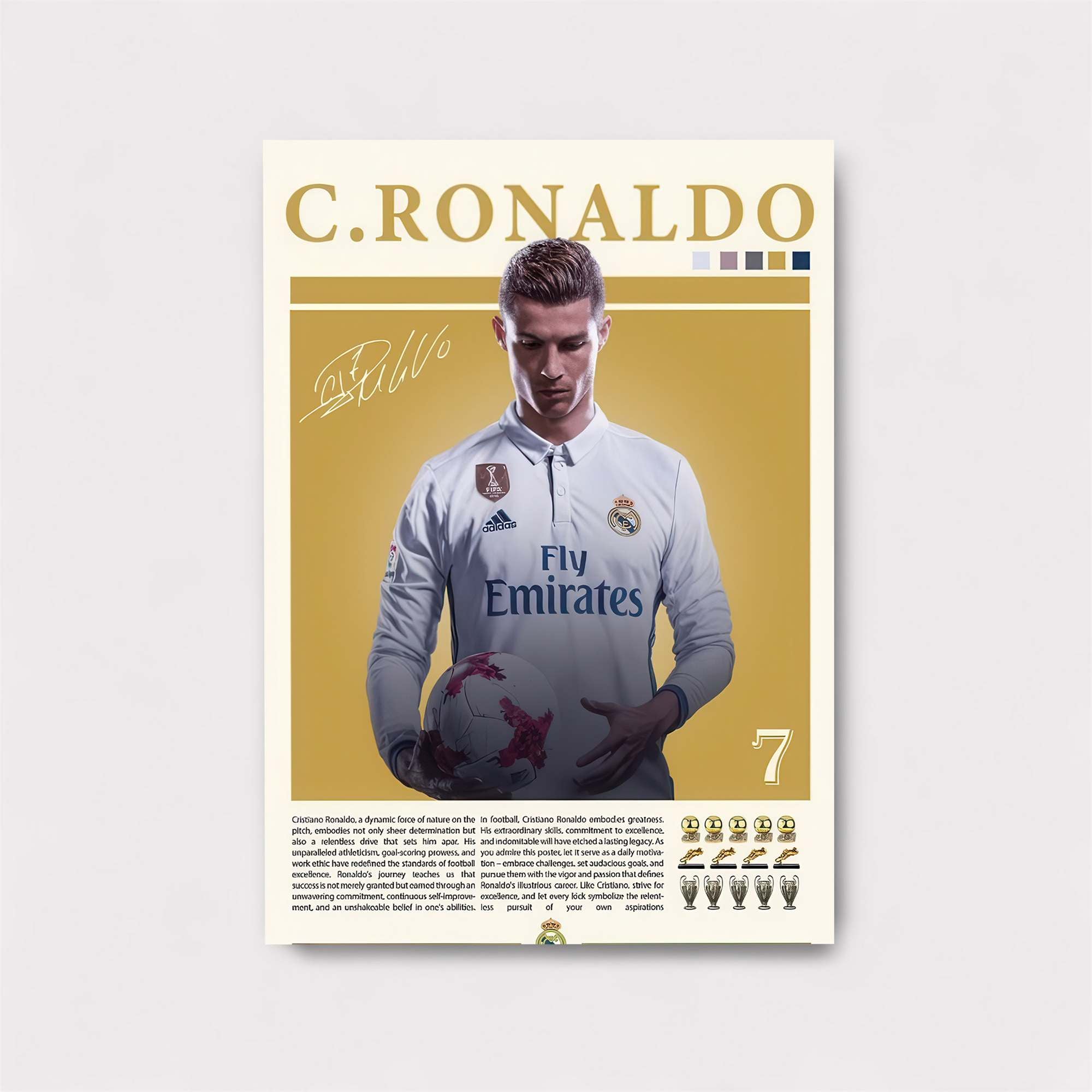 Ronaldo Regal Safe Wall Magnetic / M
