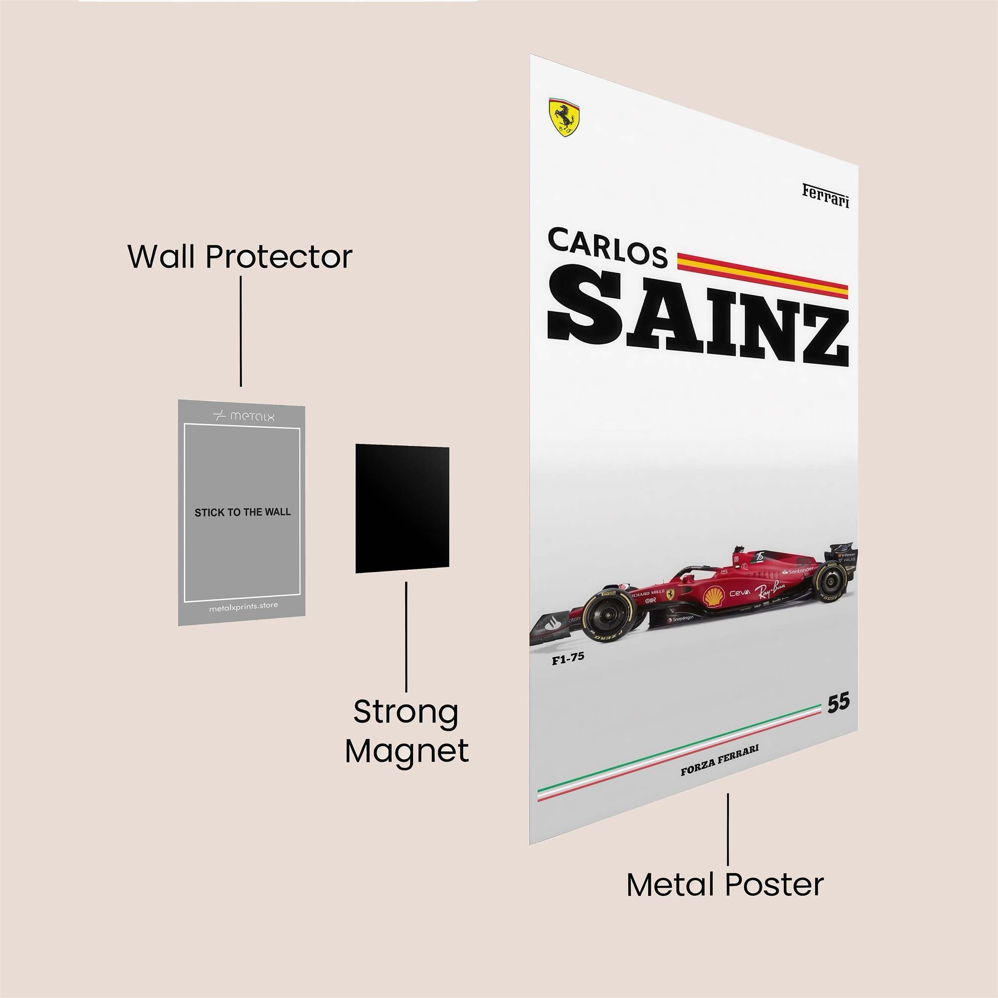 Sainz Velocity Safe Wall Magnetic / M