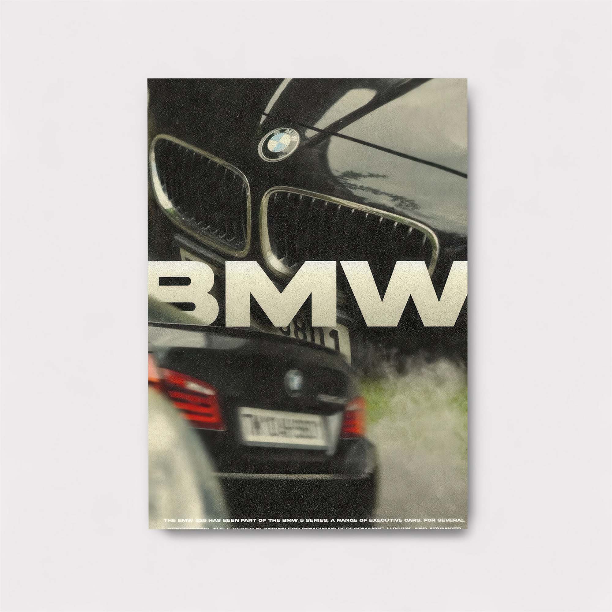 BMW Elegance Safe Wall Magnetic / M