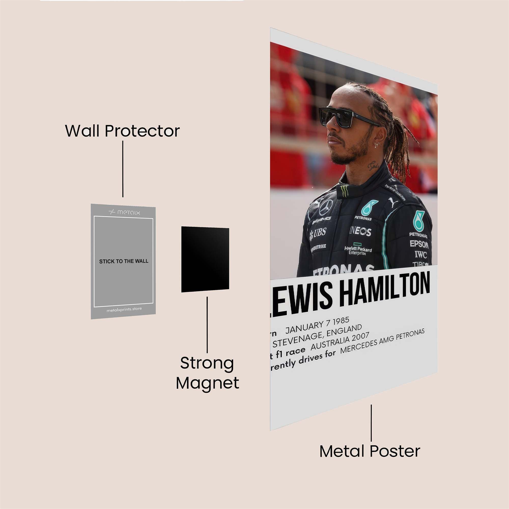 Lewis Focused Safe Wall Magnetic / M