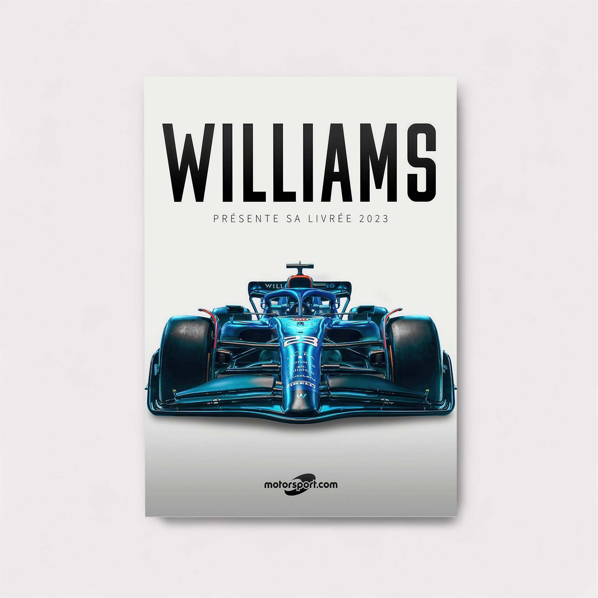 Williams Velocity Safe Wall Magnetic / M