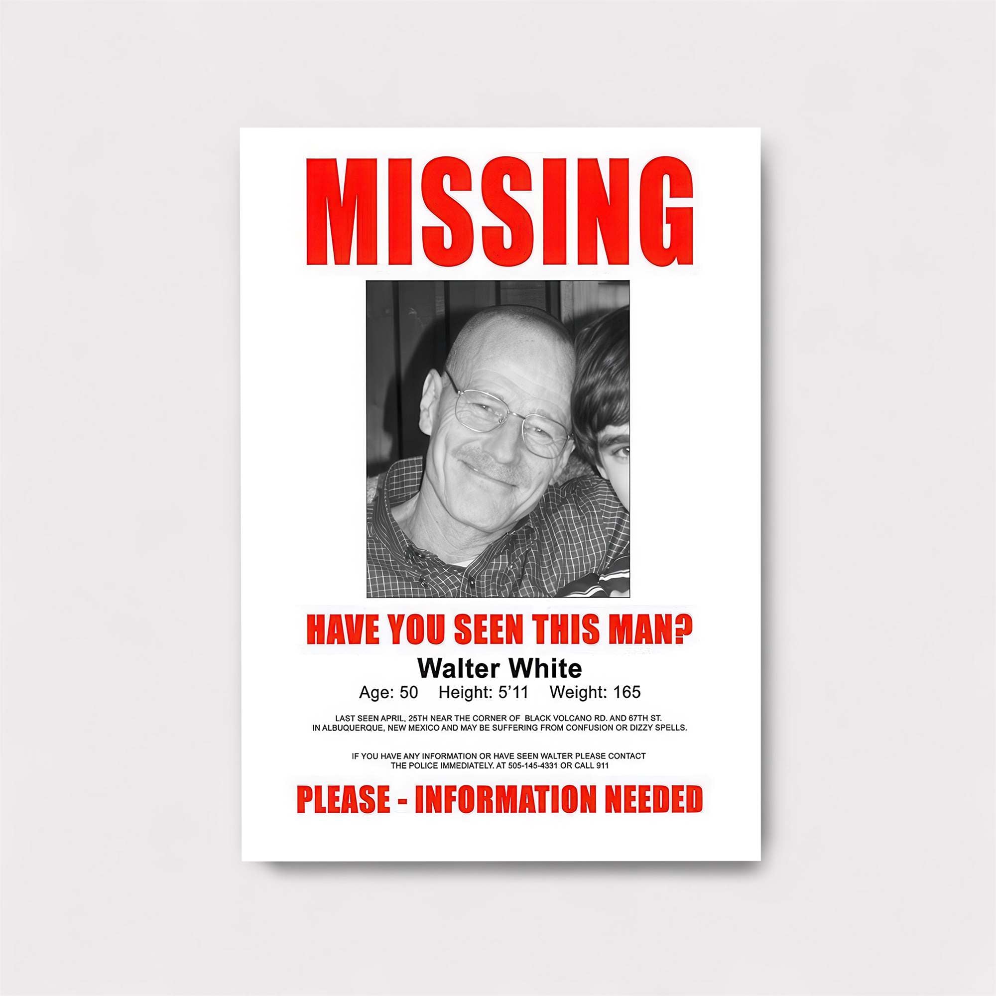 Walter Desperate Safe Wall Magnetic / M