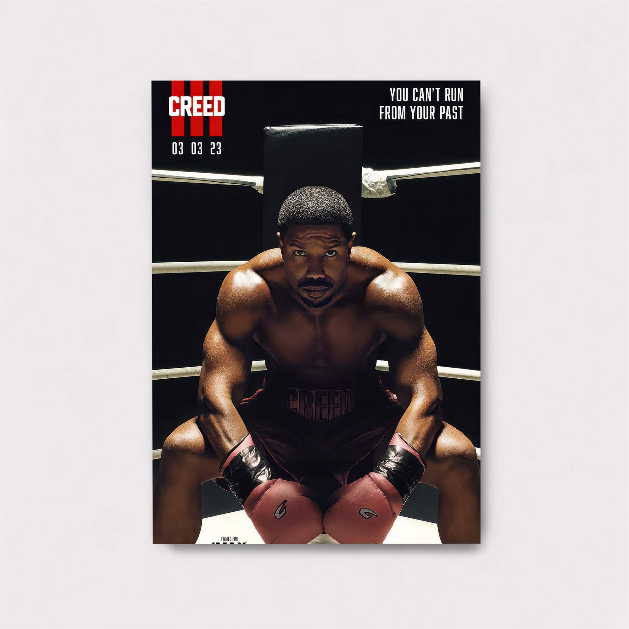 Adonis Intense Safe Wall Magnetic / M