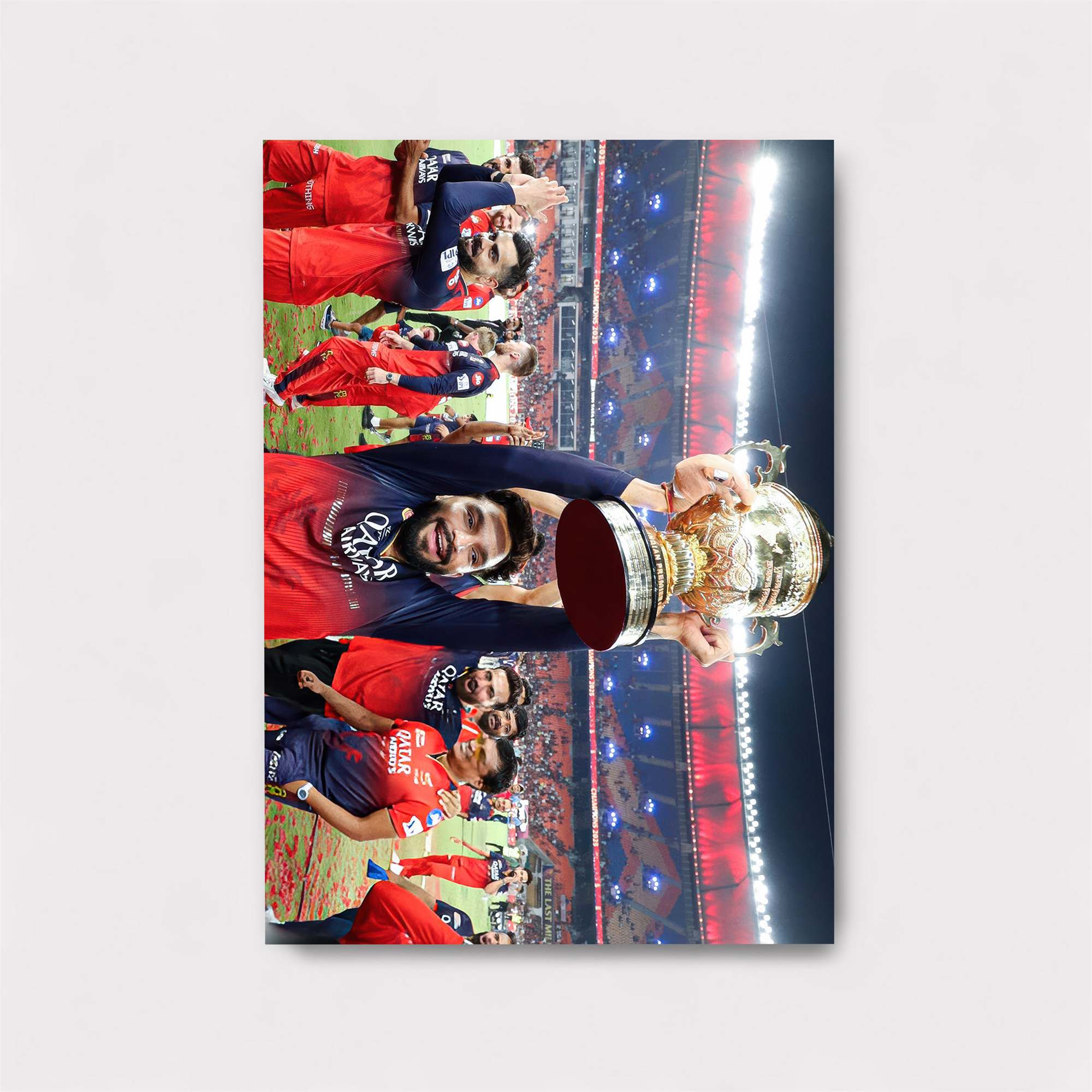 Dhoni Triumphant Safe Wall Magnetic / M