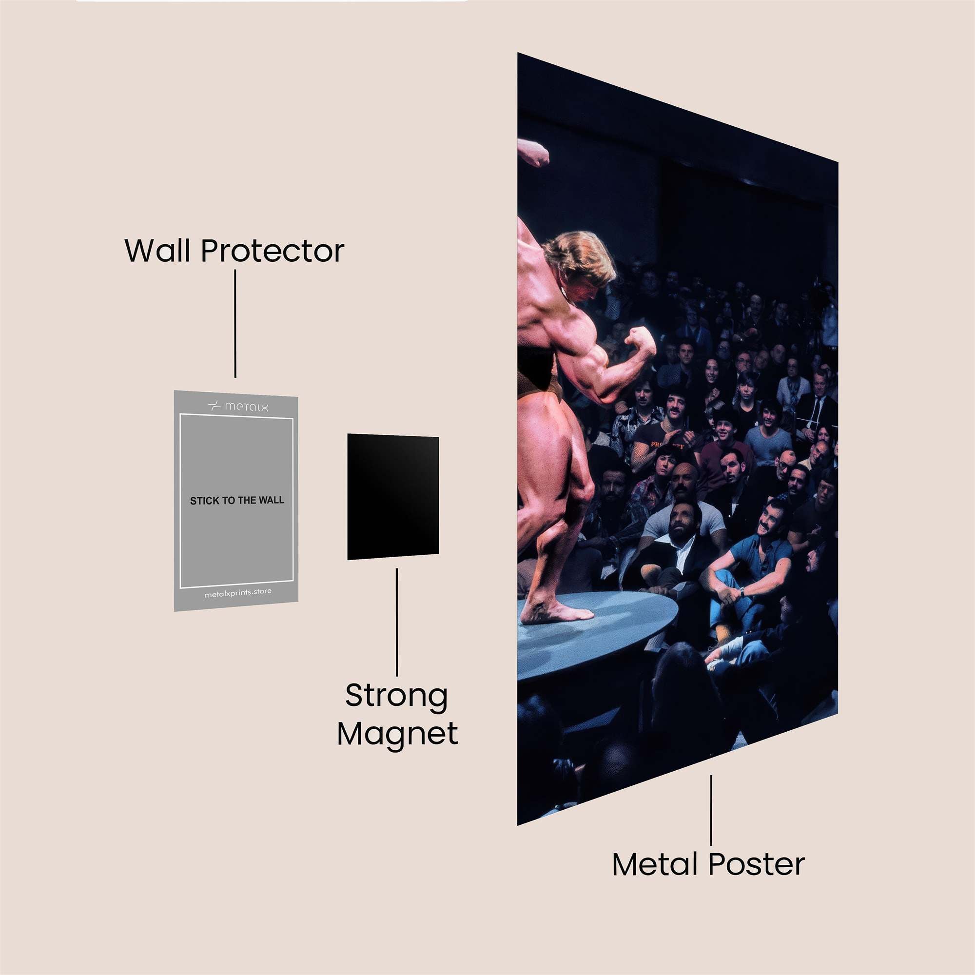 Schwarzenegger Triumphant Safe Wall Magnetic / M