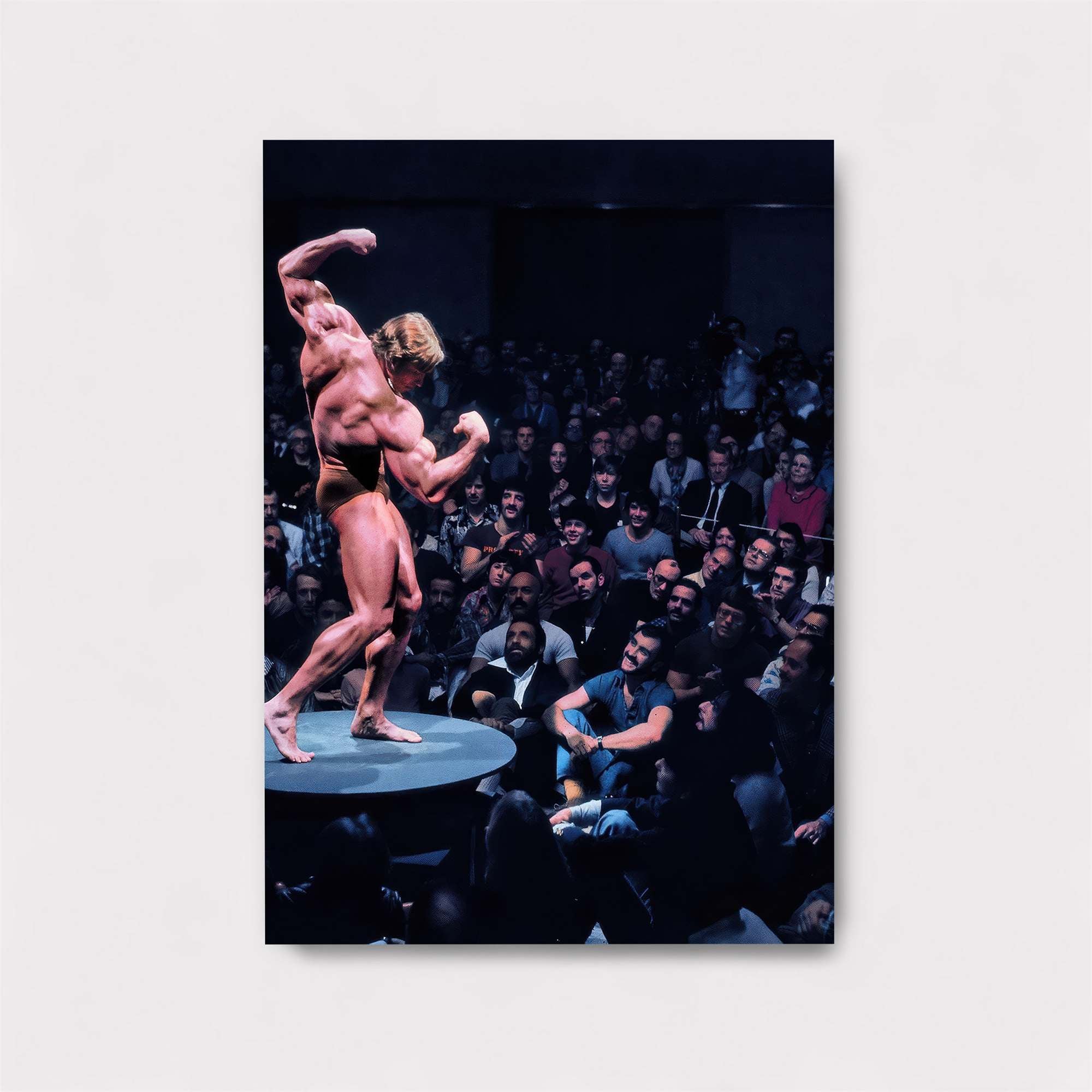 Schwarzenegger Triumphant Safe Wall Magnetic / M