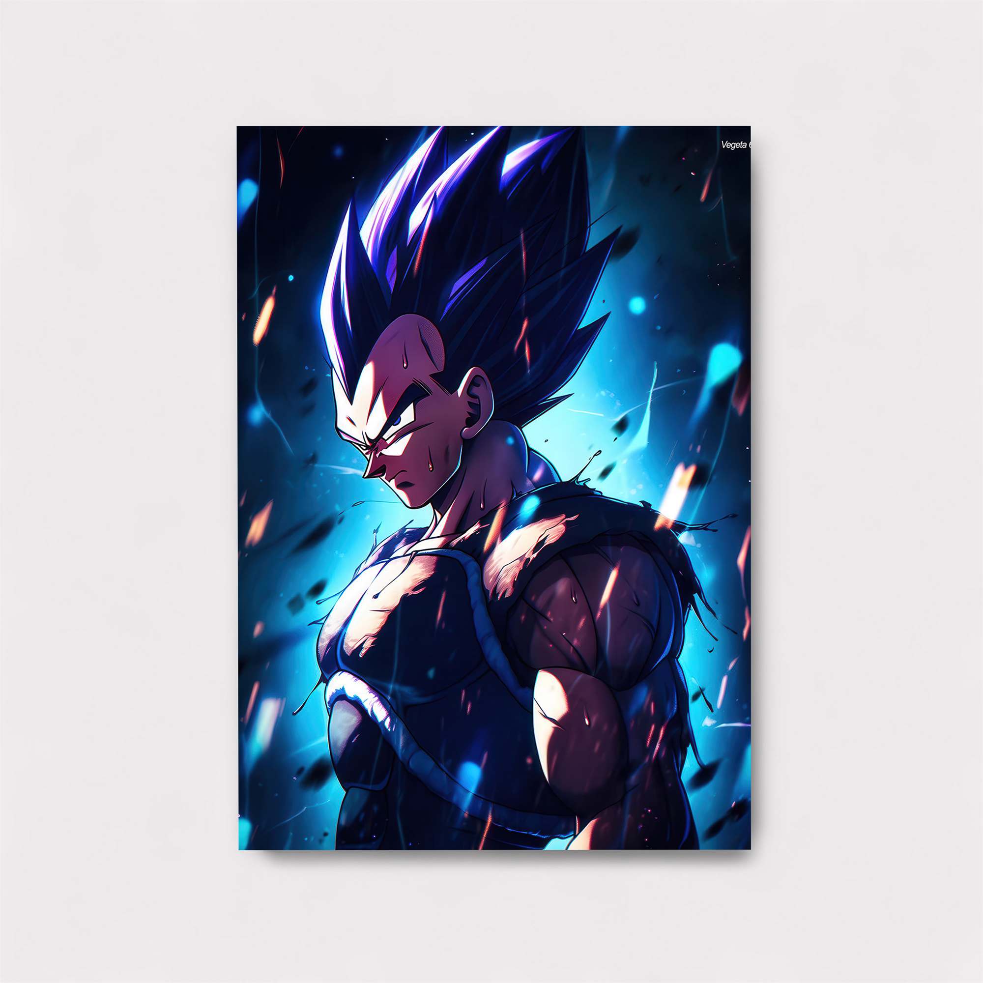 Vegeta Valiant Safe Wall Magnetic / M